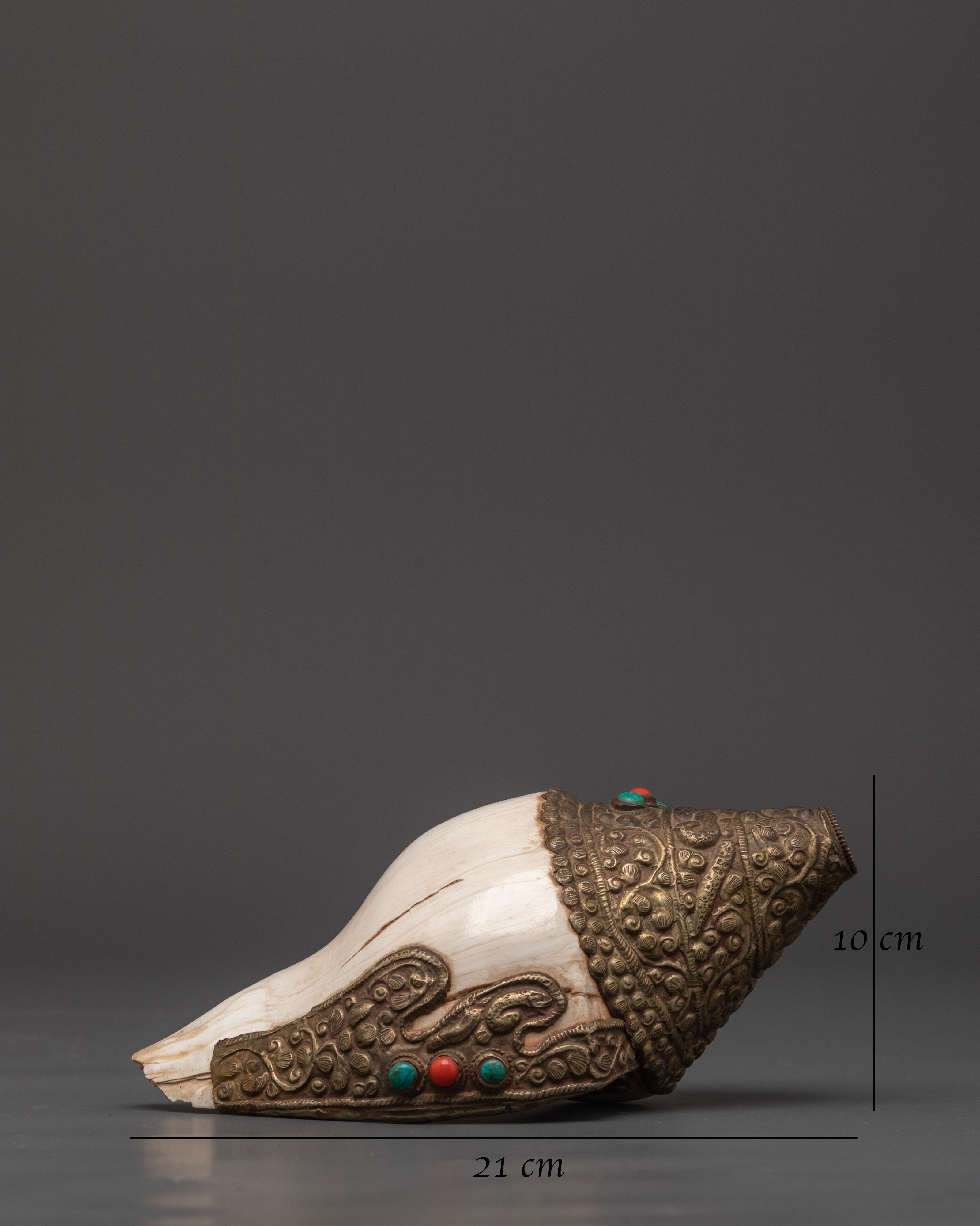Conch Shell for Buddhist Ritual Practice | Meditation Sound Instrument