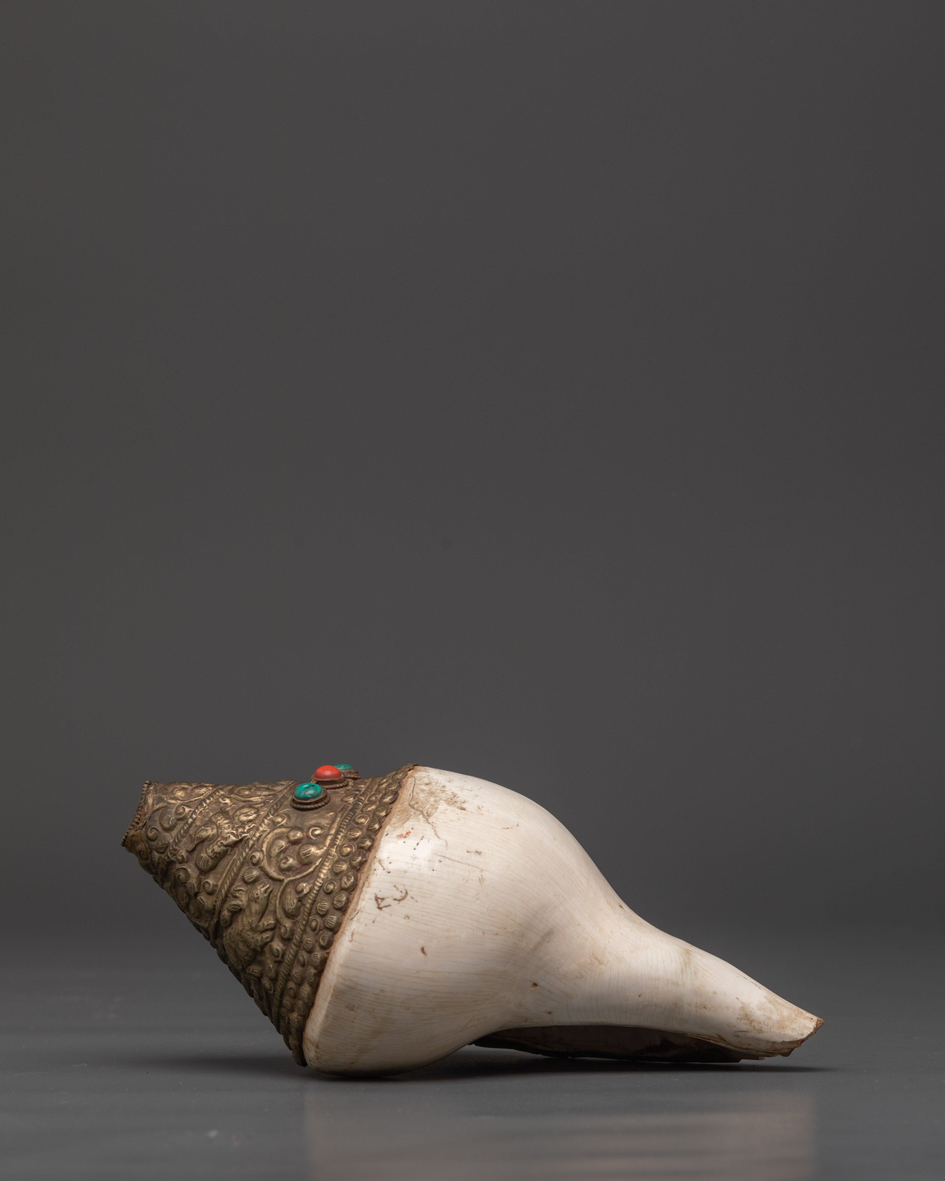 Conch Shell for Buddhist Ritual Practice | Meditation Sound Instrument