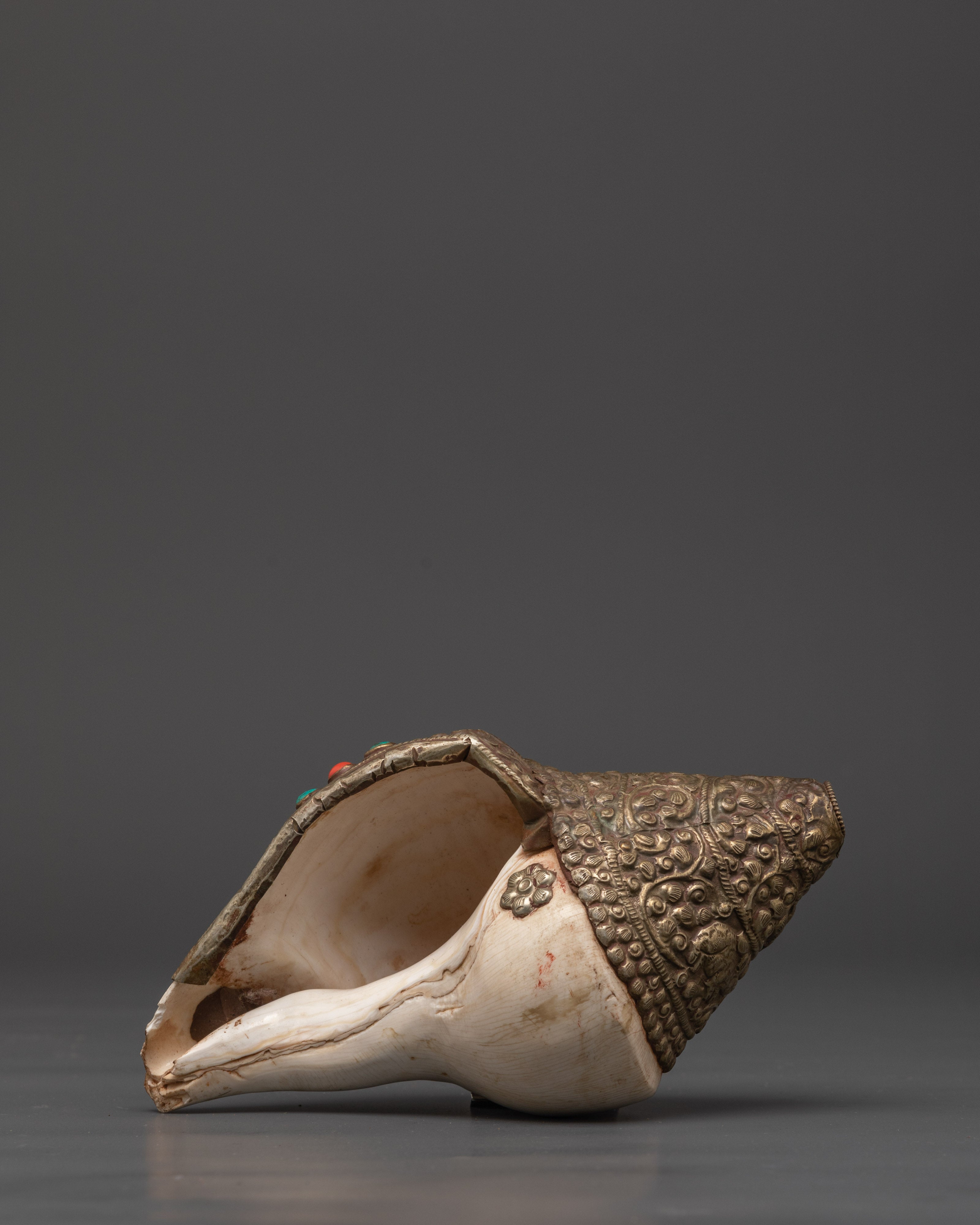 Conch Shell for Buddhist Ritual Practice | Meditation Sound Instrument