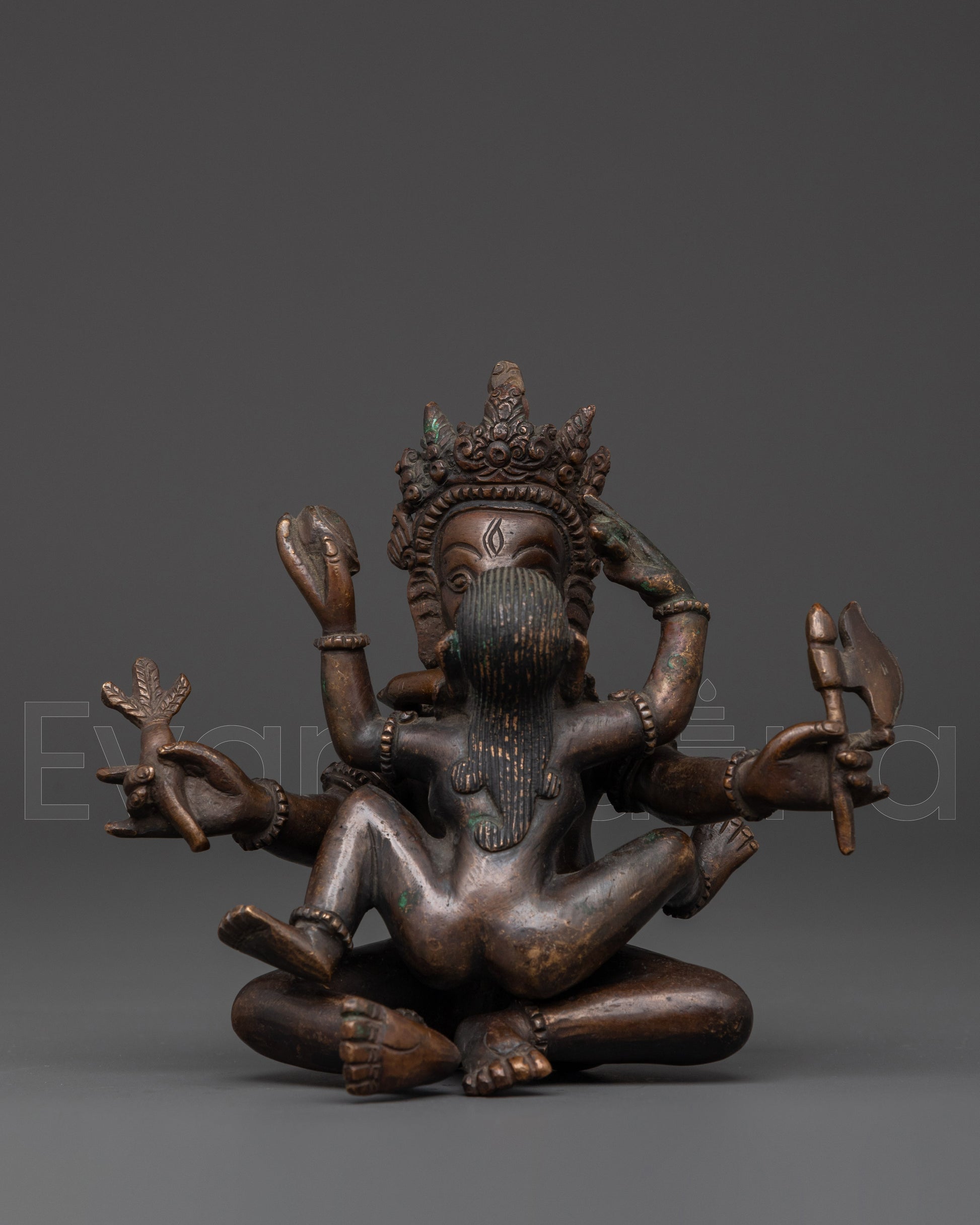  Ganesh 