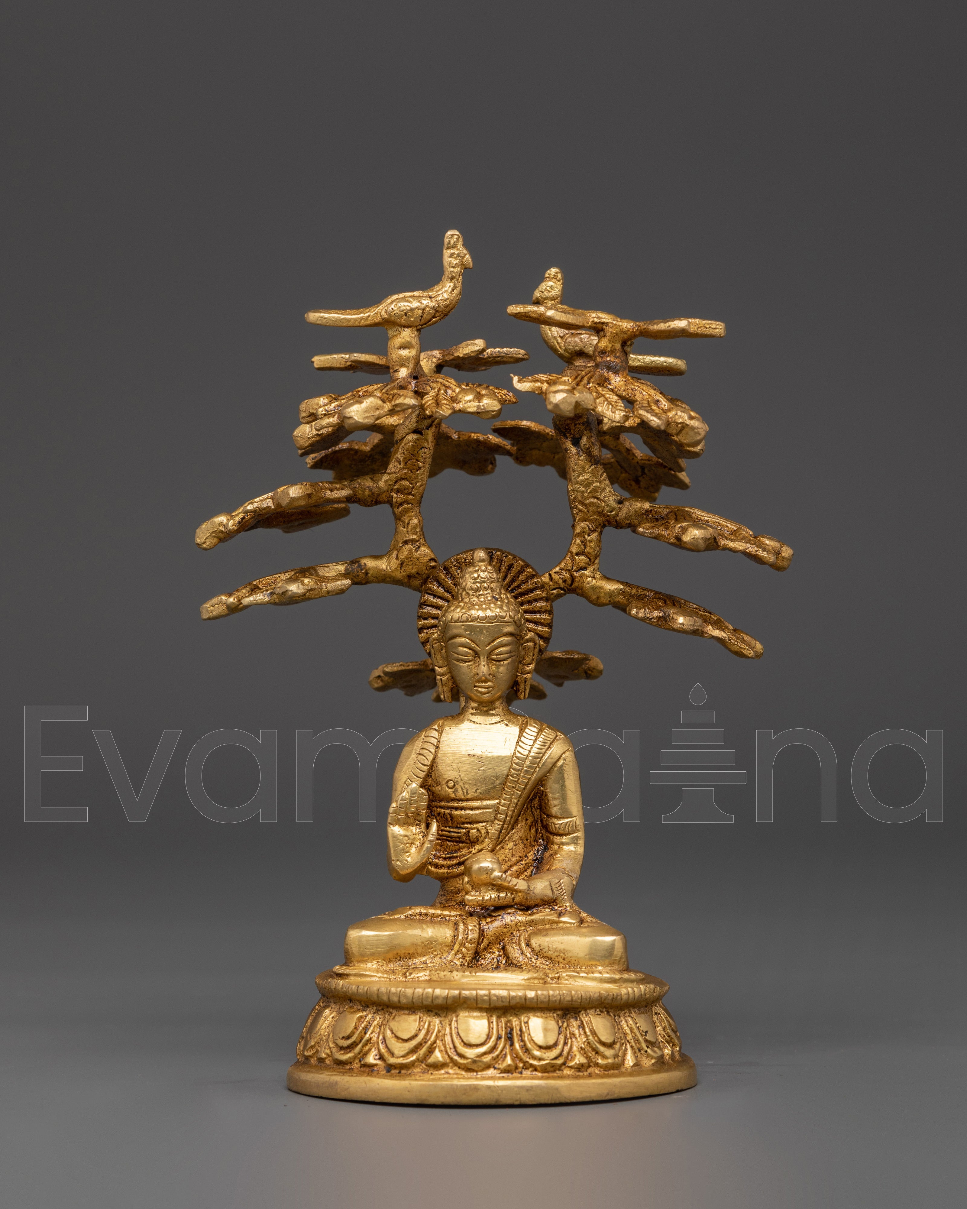  Amogasiddhi 