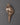  Conch 