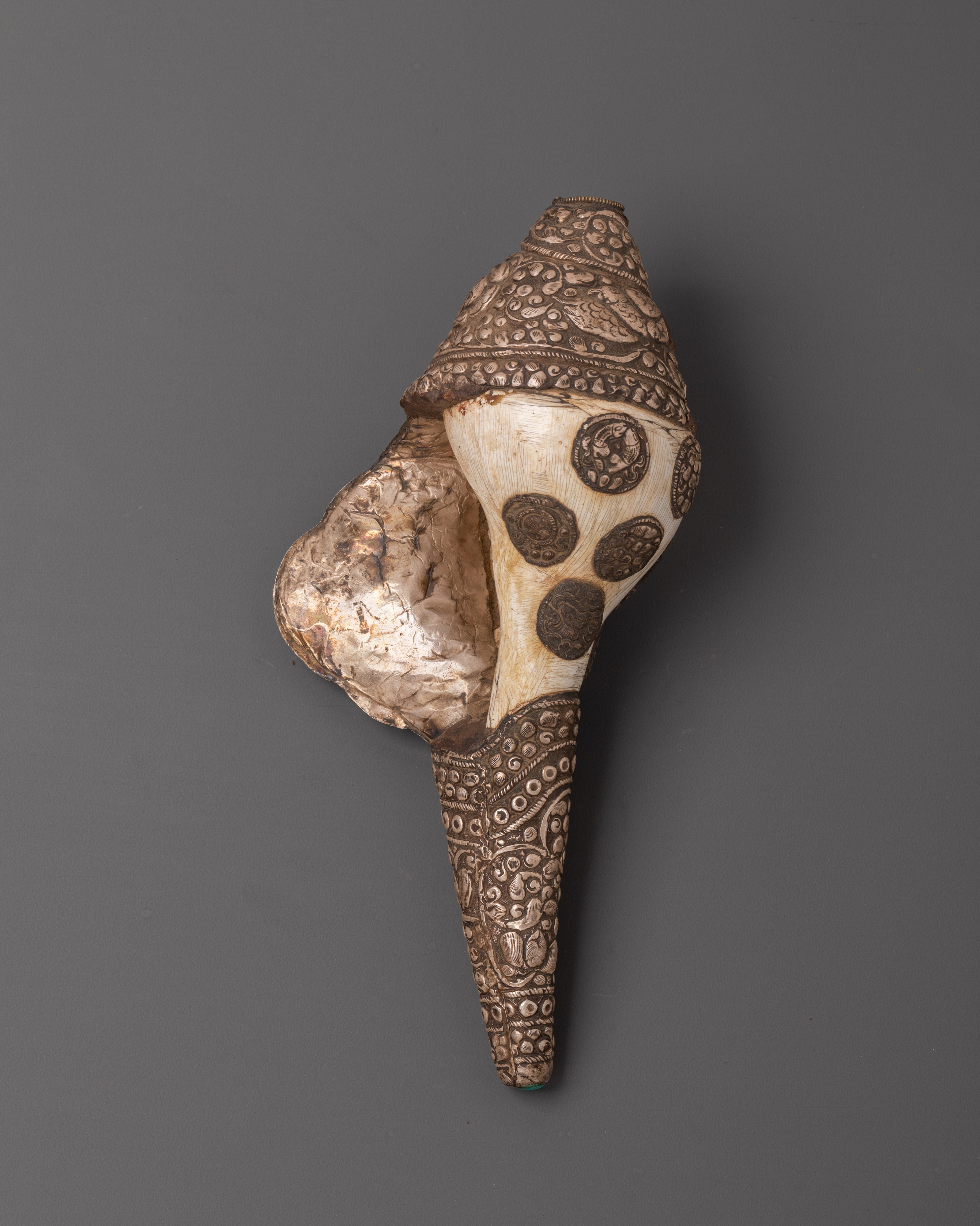 Buddhist Ritual Conch with White Metal | Conch Shell for Blessings