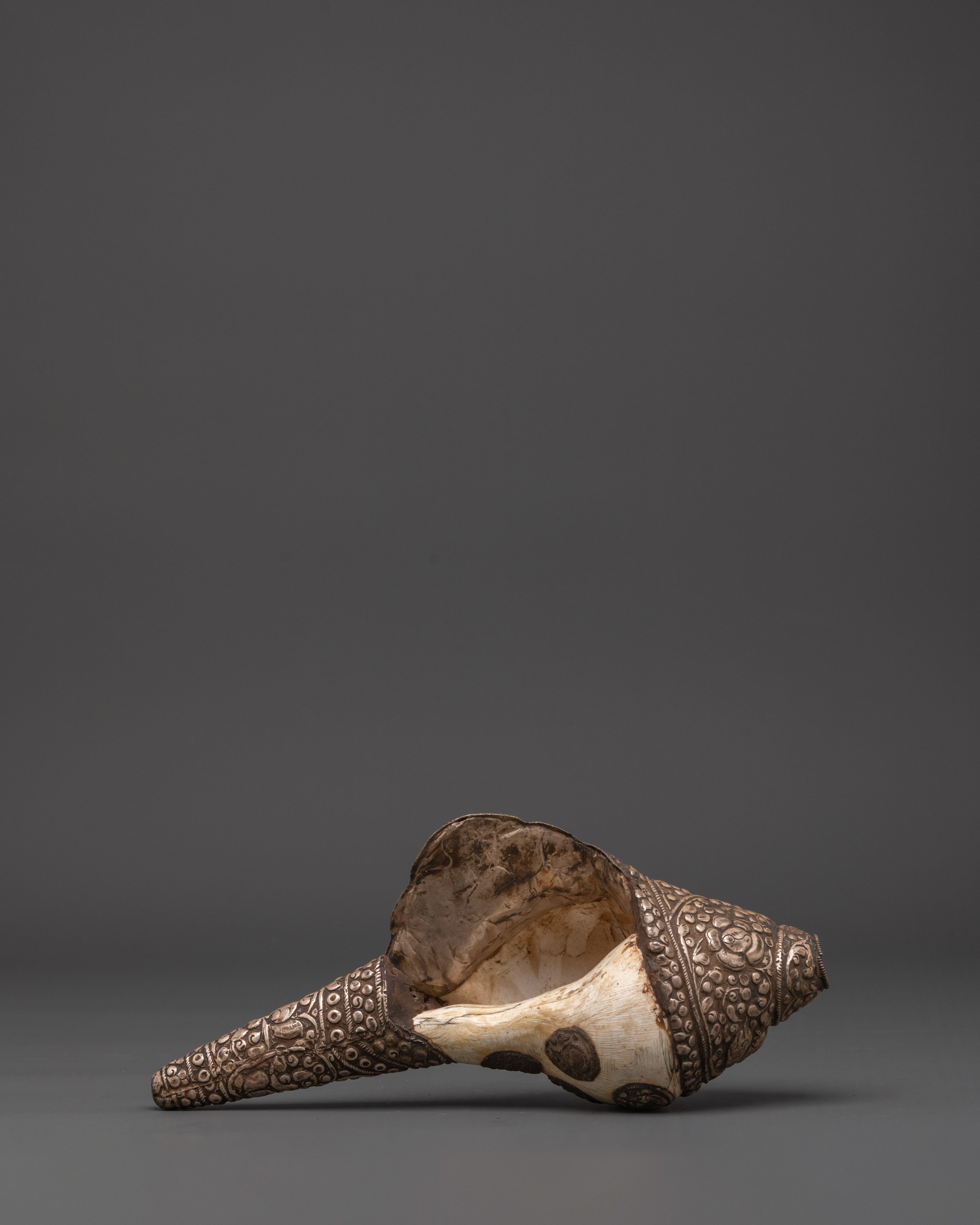 Buddhist Ritual Conch with White Metal | Conch Shell for Blessings