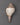 Conch Shell