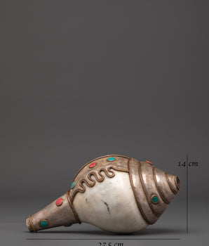 Conch Spiritual Tool | Sacred Buddhist Conch Shell
