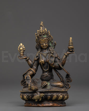  Laxmi 