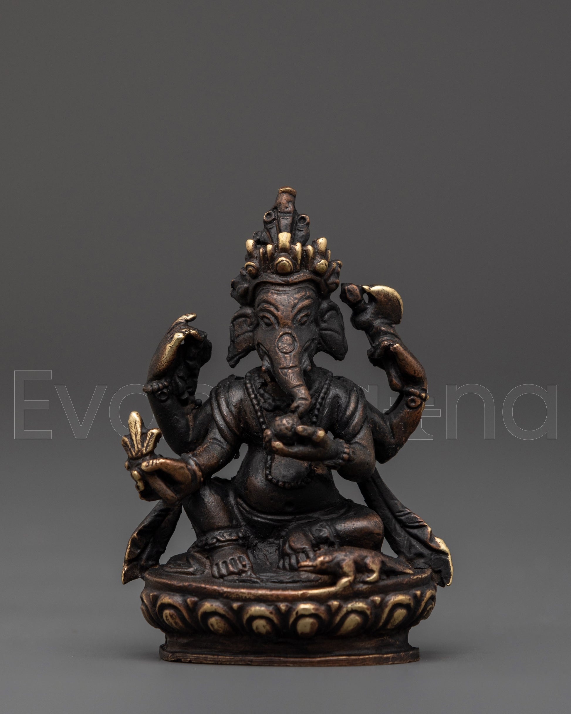  Ganesh 