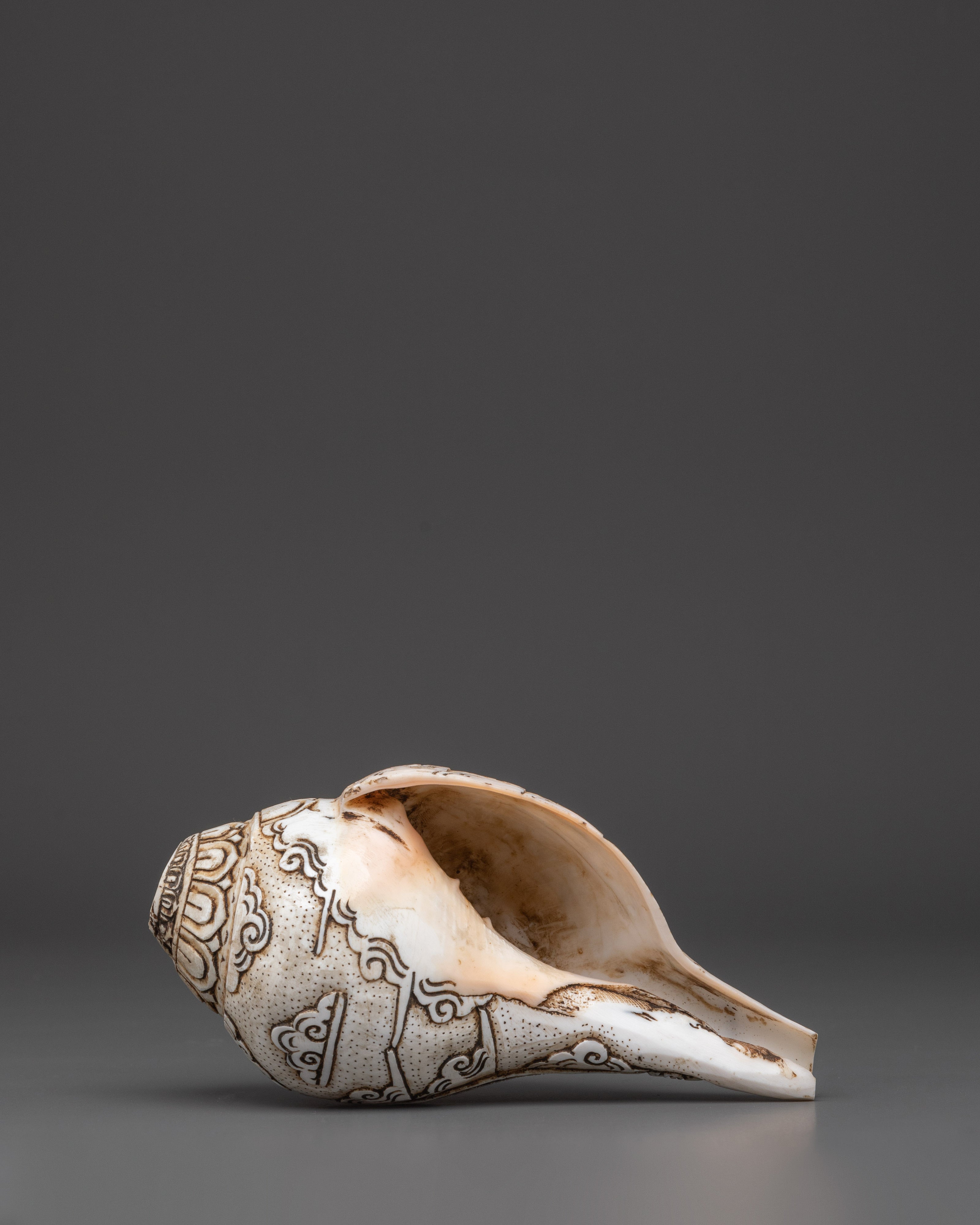 Hand-Carved Avalokiteshvara Conch Shell | Tibetan Buddhist Compassion Deity