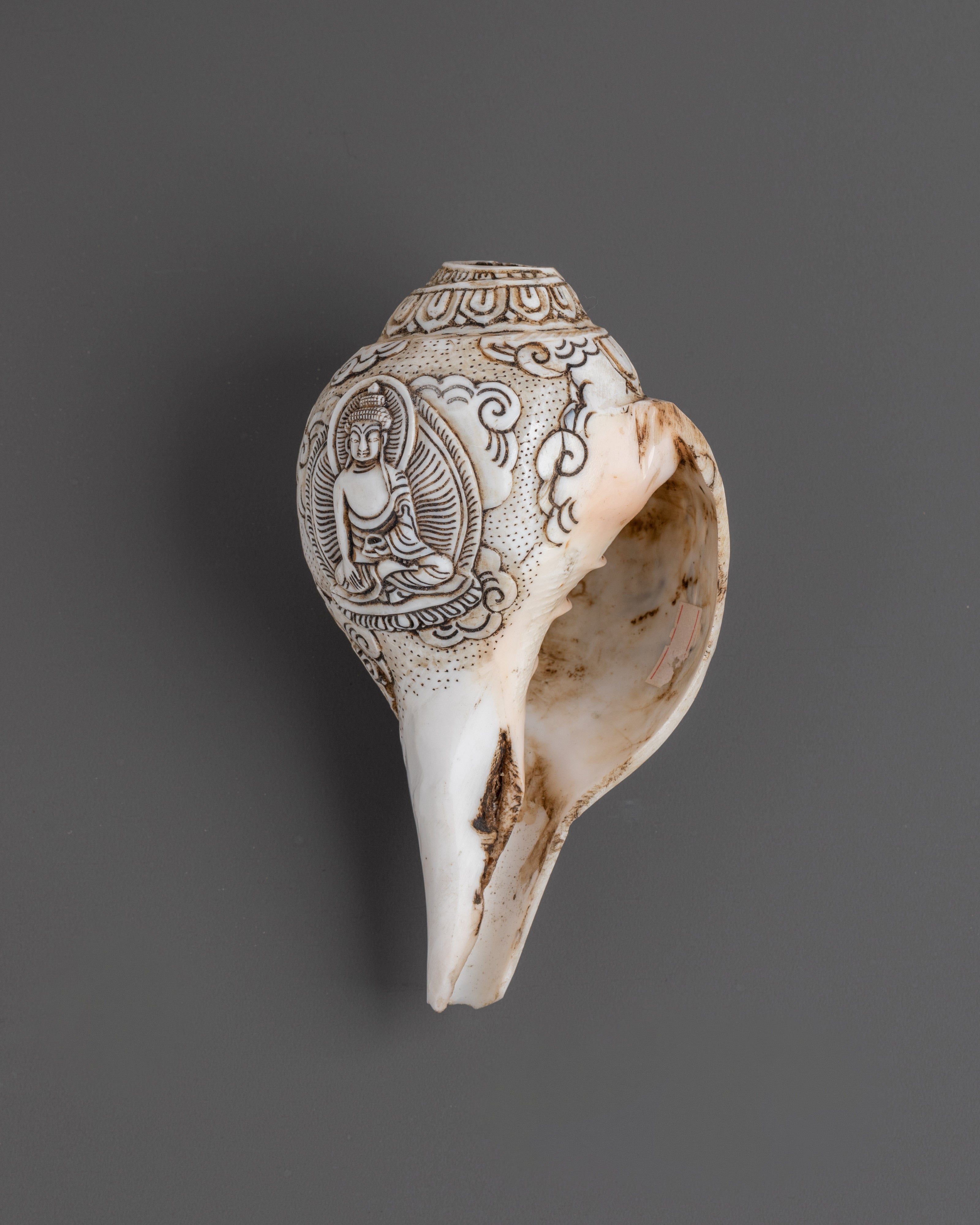 Hand-carved Avalokiteshvara Design Conch Shell | Sacred Buddhist Spiritual Artifact