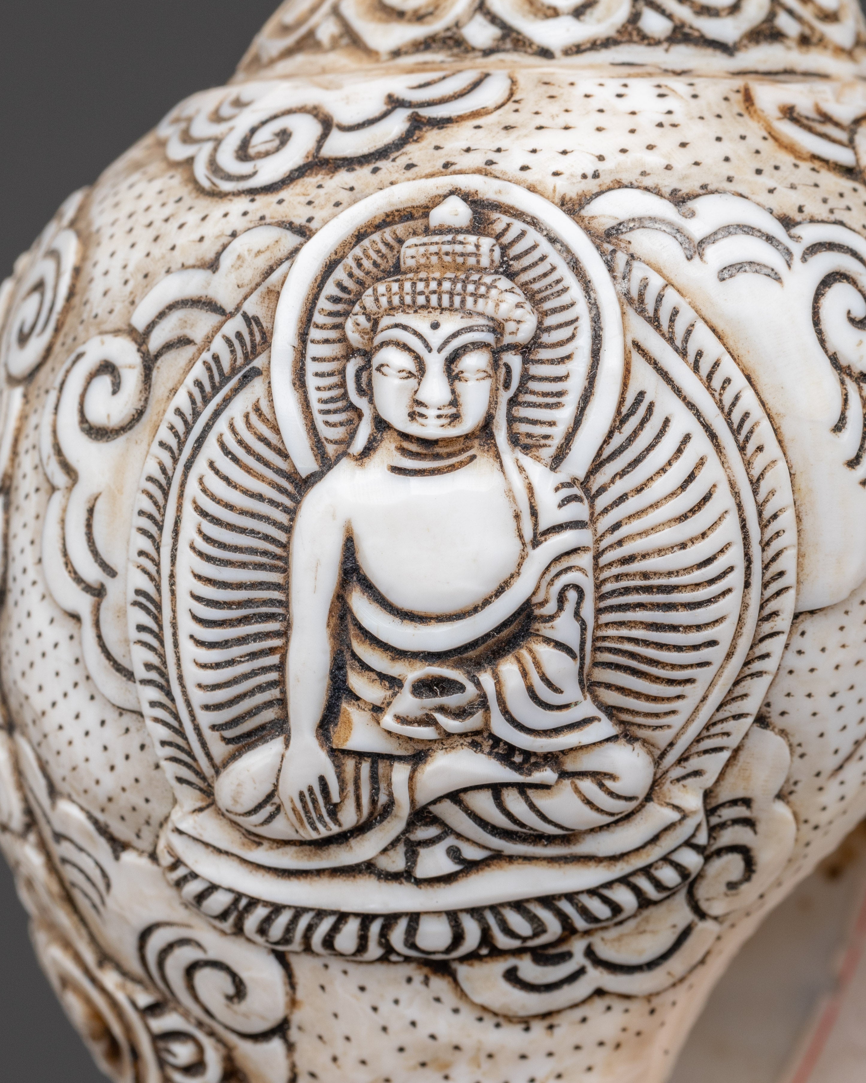 Hand-carved Avalokiteshvara Design Conch Shell | Sacred Buddhist Spiritual Artifact