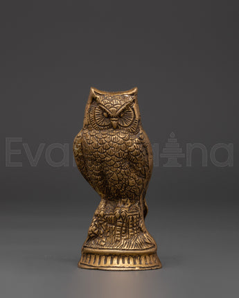  Owl 
