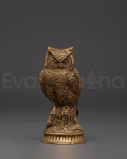  Owl 