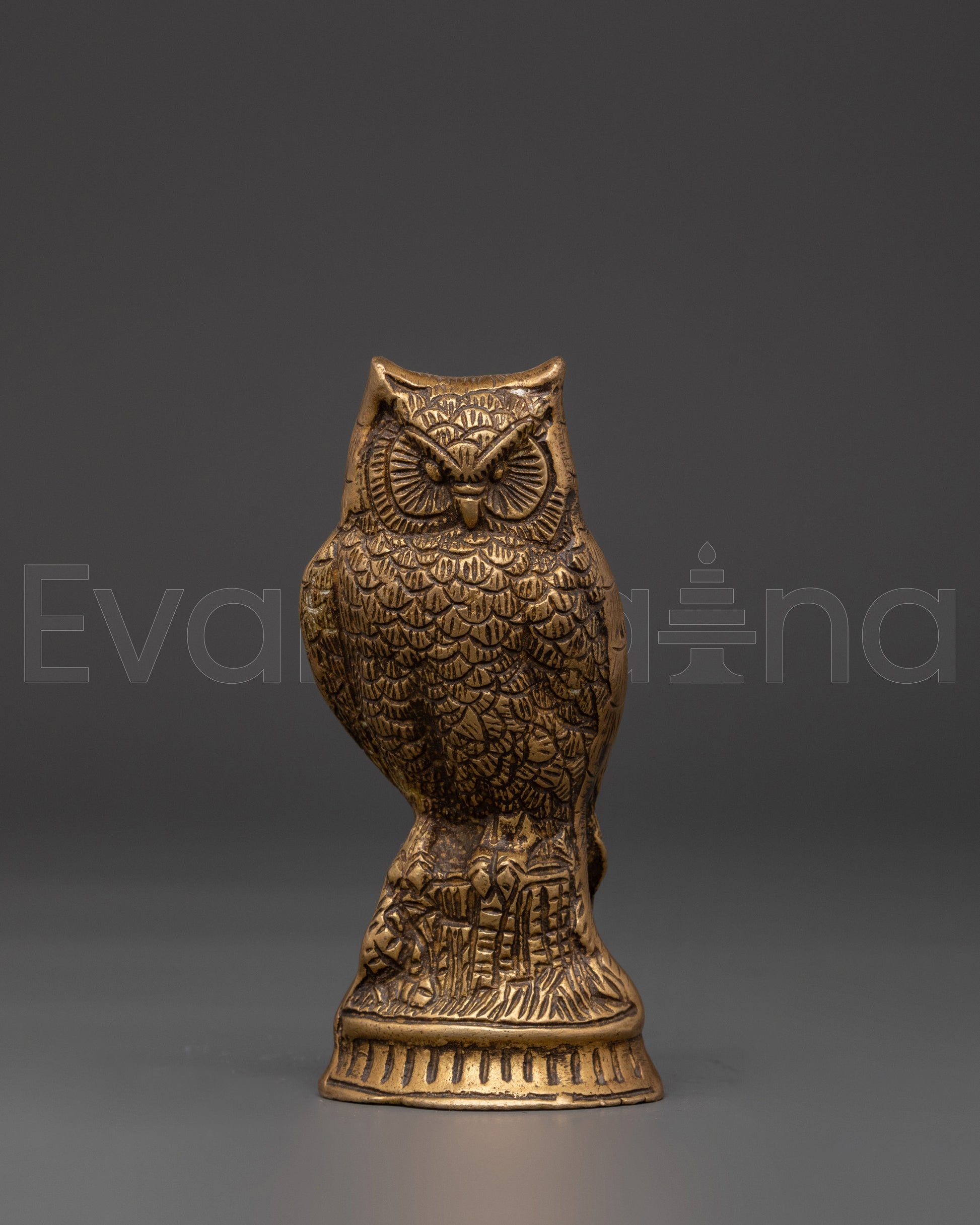  Owl 