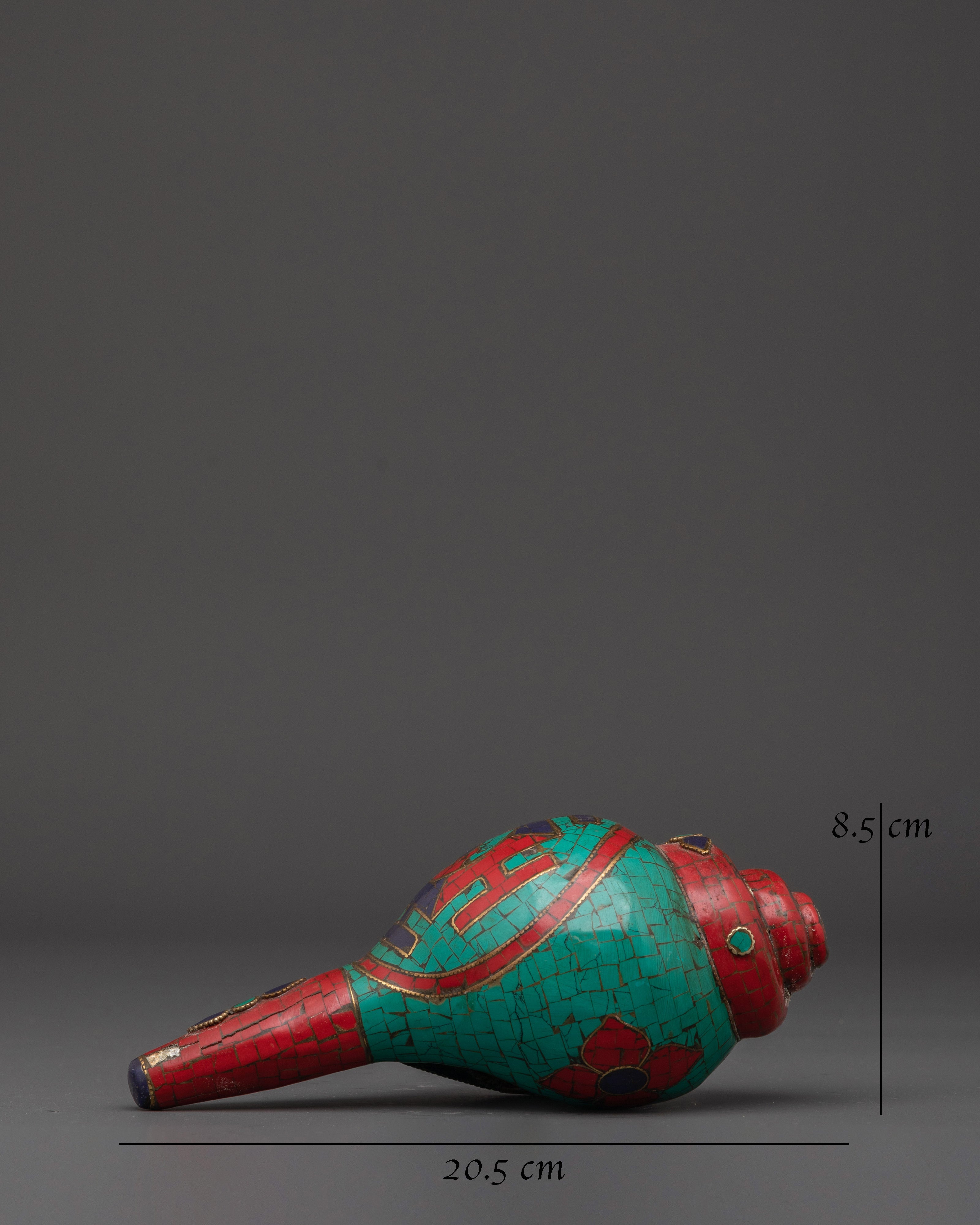 conch-for-altar