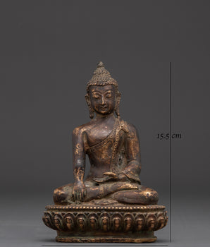 Authentic Shakyamuni Buddha Statue | Tibetan Buddha for Blessings