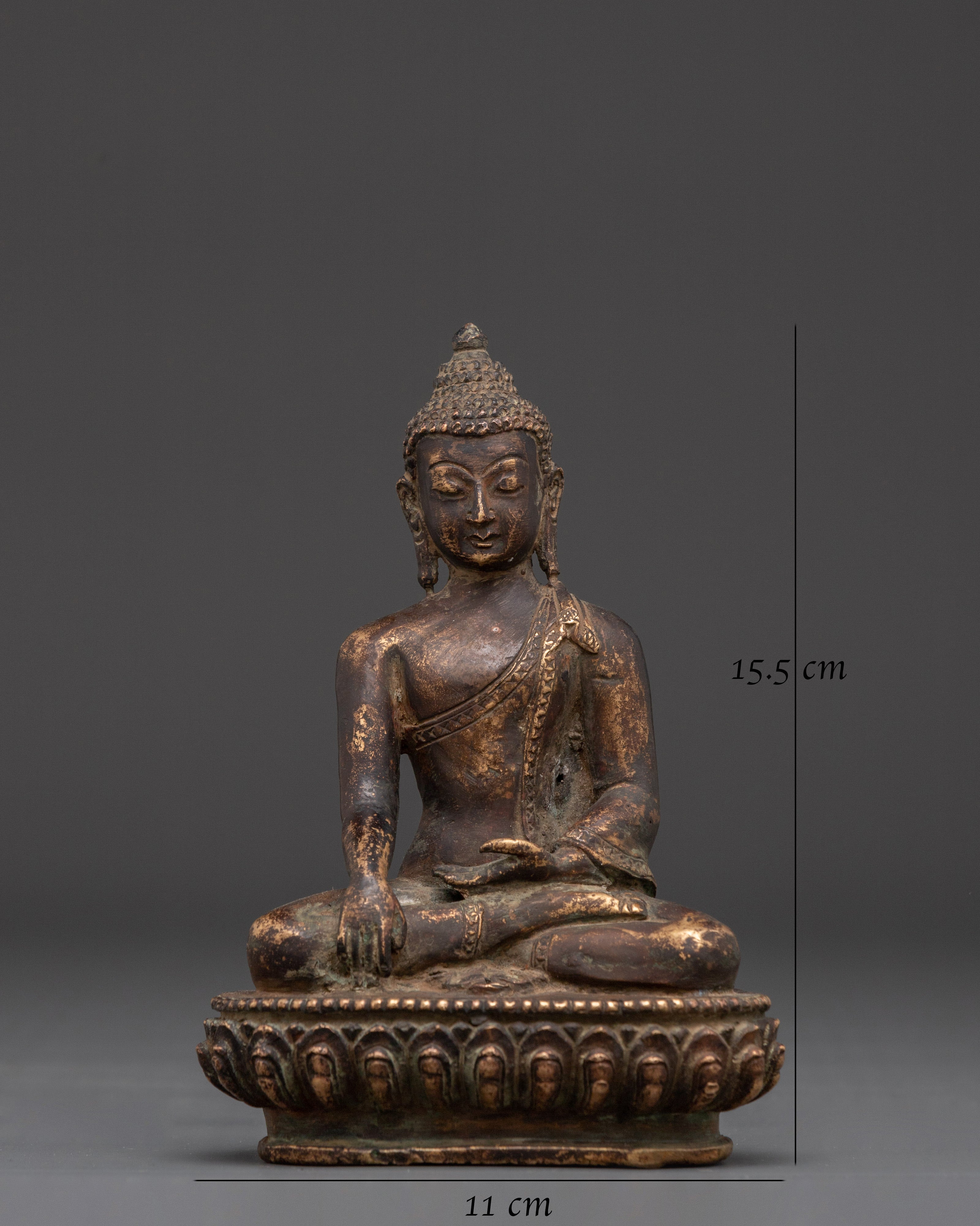 Authentic Shakyamuni Buddha Statue | Tibetan Buddha for Blessings