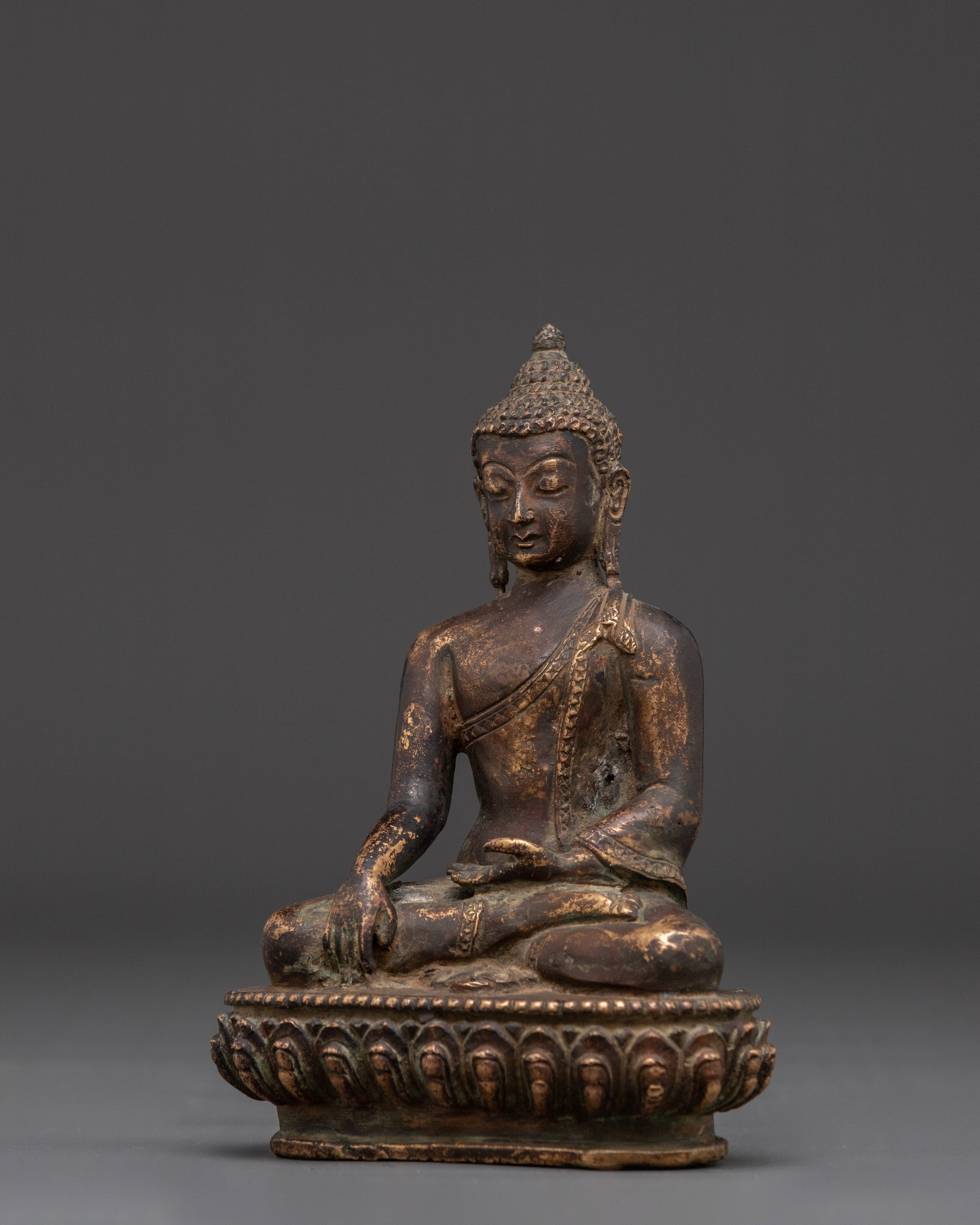 Authentic Shakyamuni Buddha Statue | Tibetan Buddha for Blessings