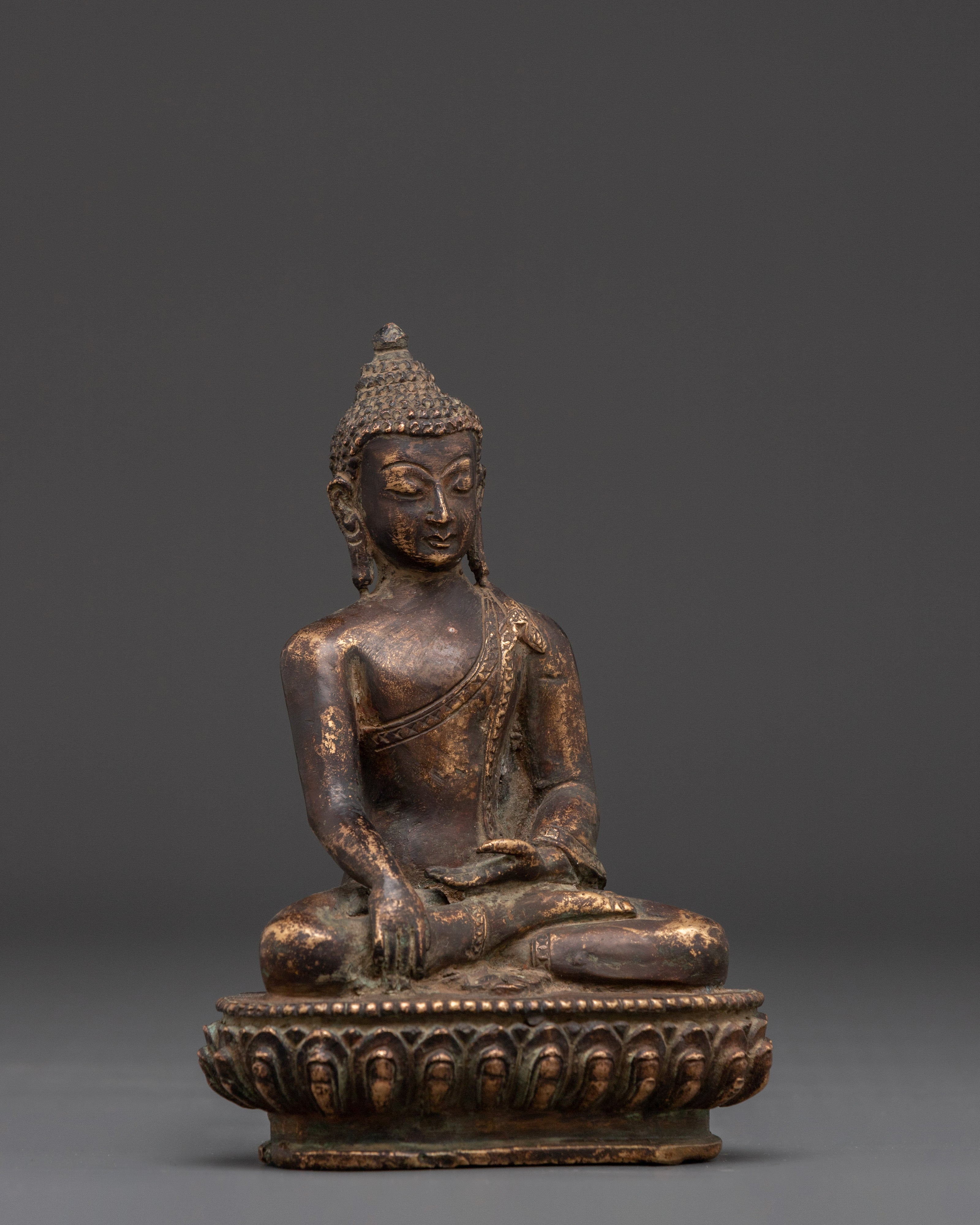 Authentic Shakyamuni Buddha Statue | Tibetan Buddha for Blessings