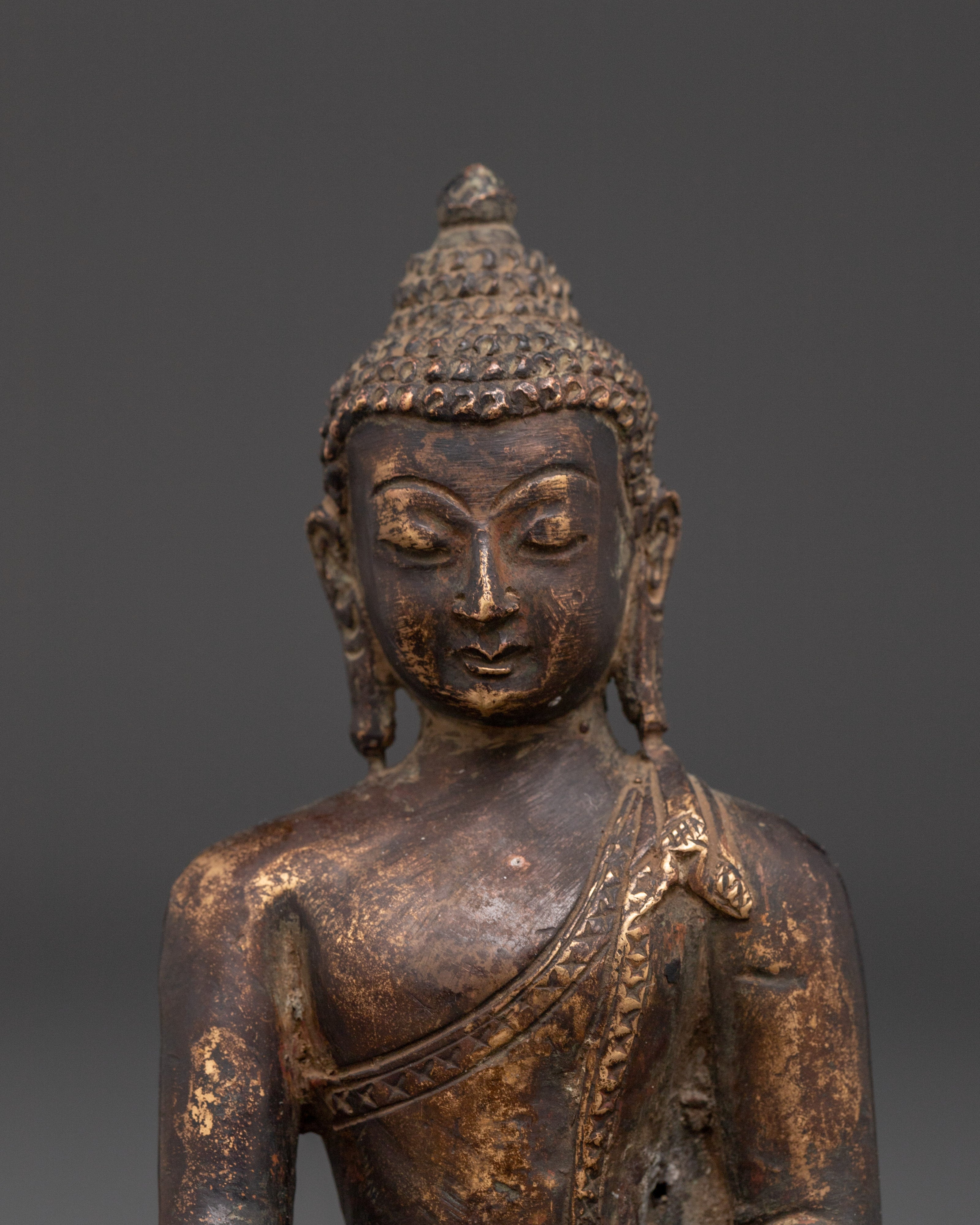 Authentic Shakyamuni Buddha Statue | Tibetan Buddha for Blessings