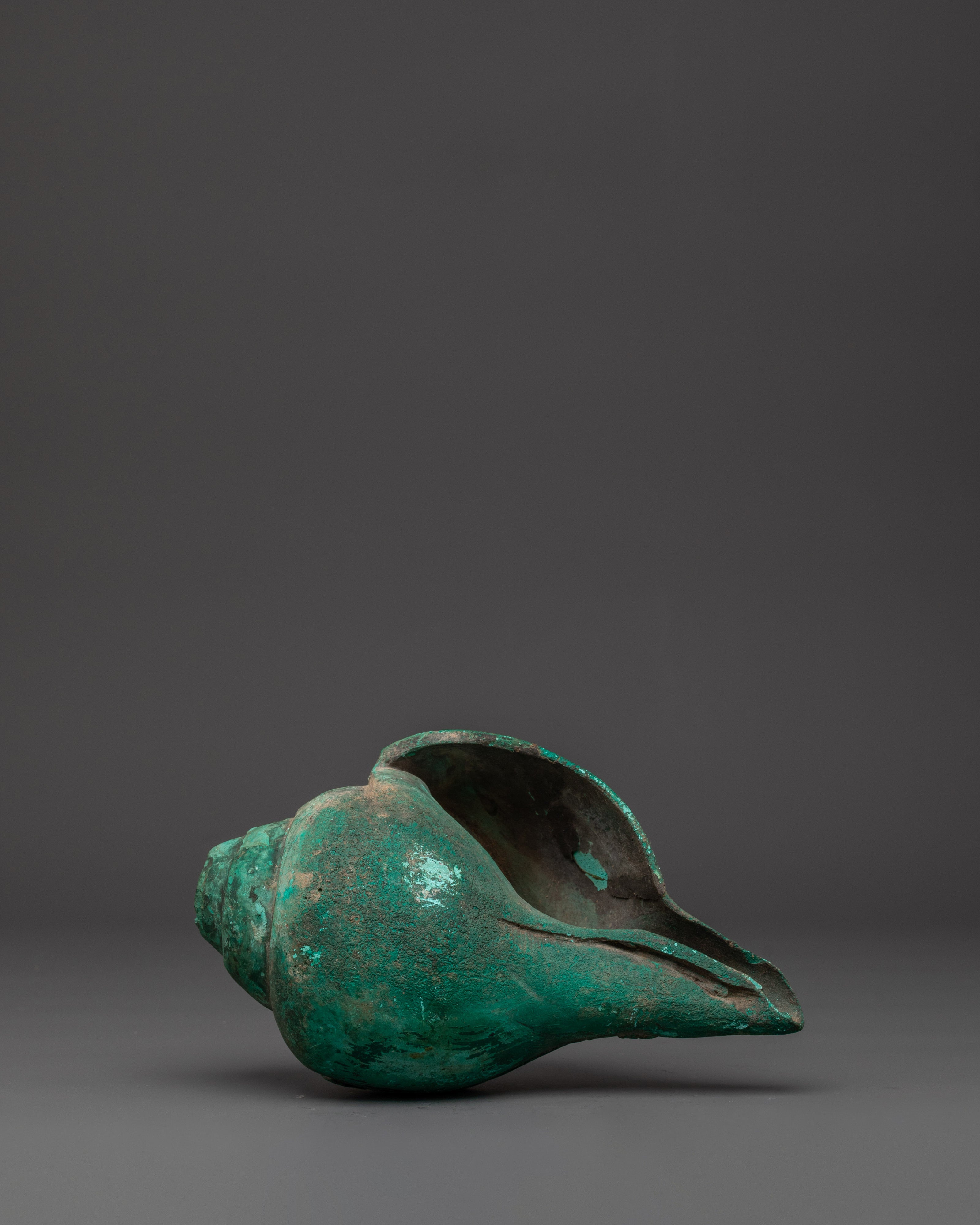 Decorative Conch Shell | Tibetan Sacred Shell
