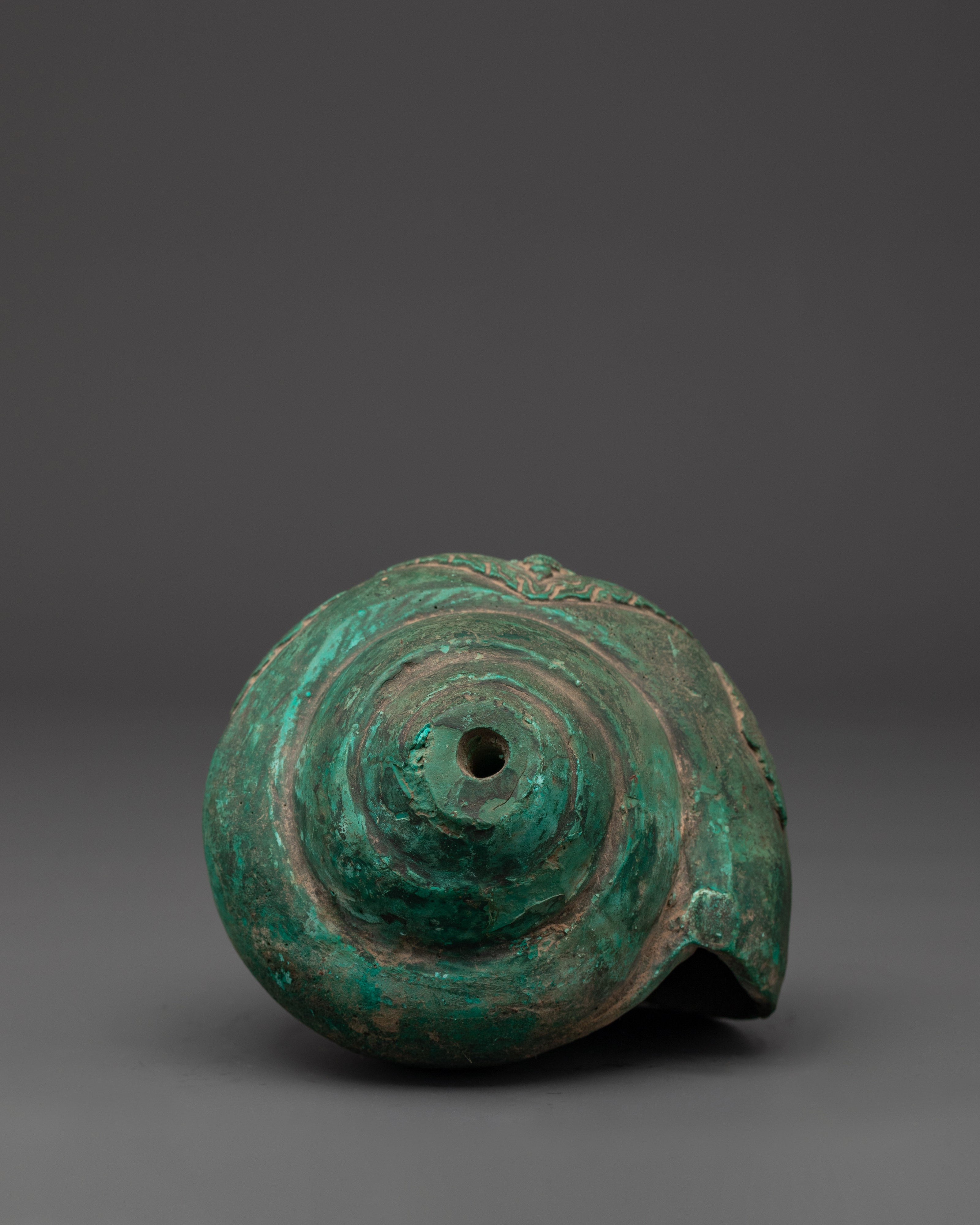 Decorative Conch Shell | Tibetan Sacred Shell