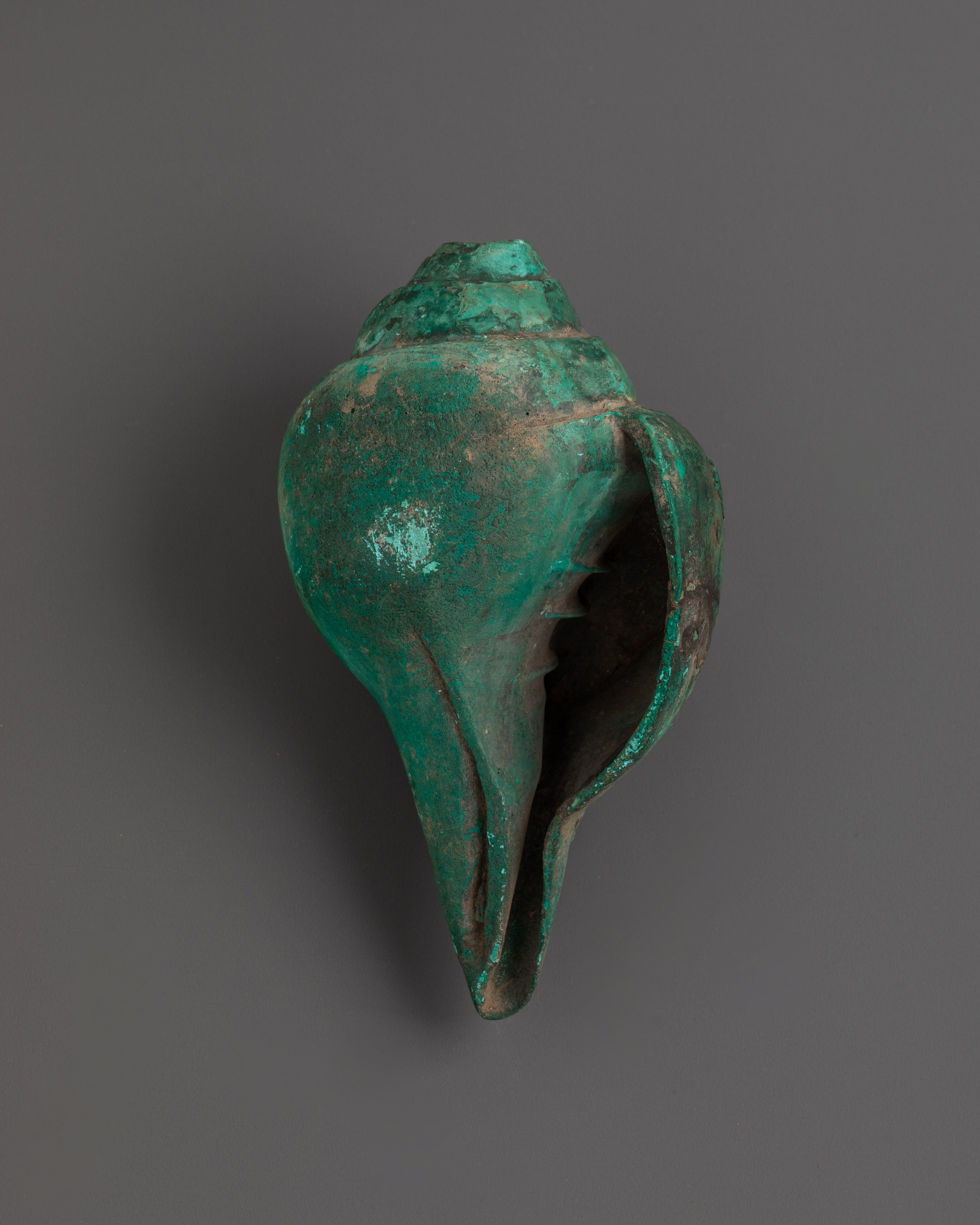 Decorative Conch Shell | Tibetan Sacred Shell