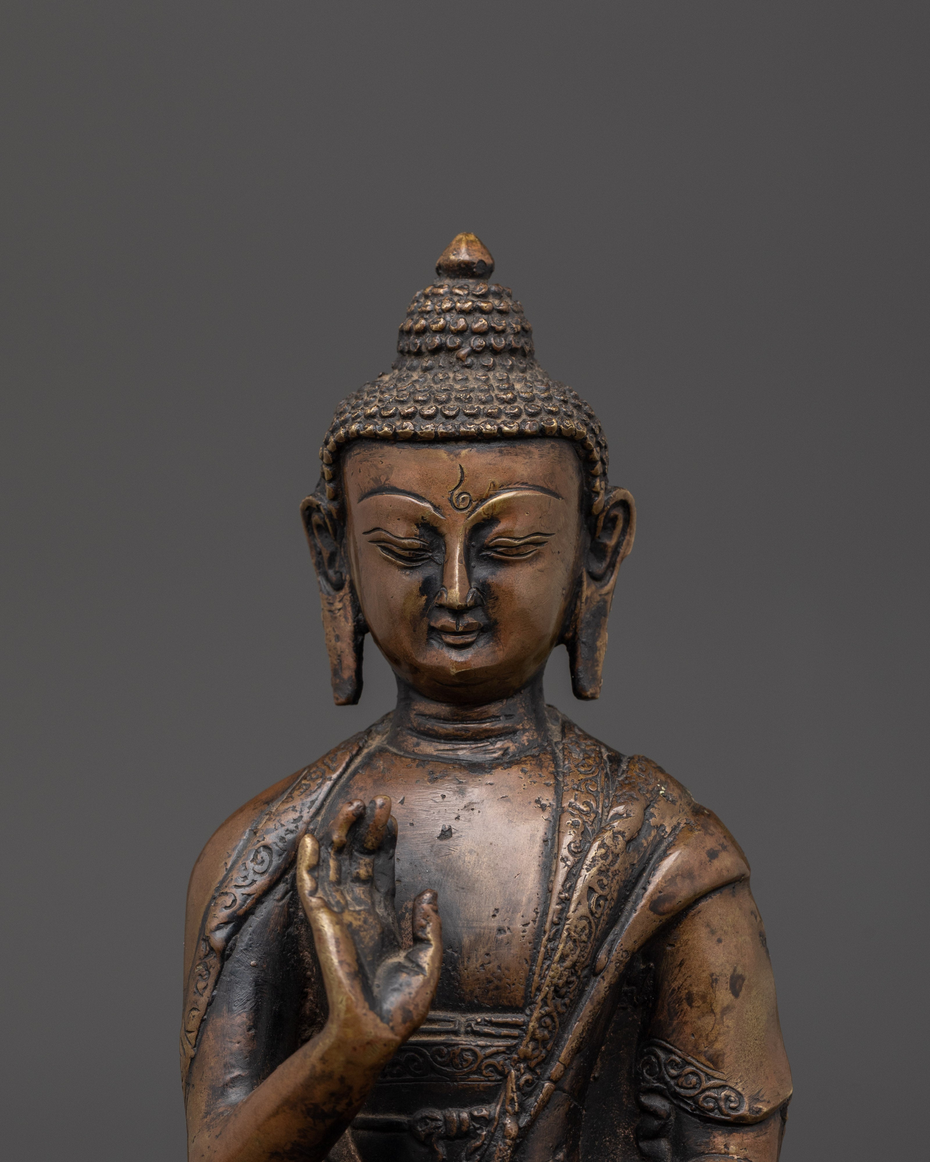 Handmade Tibetan Statue Amogasiddhi | Home Decor