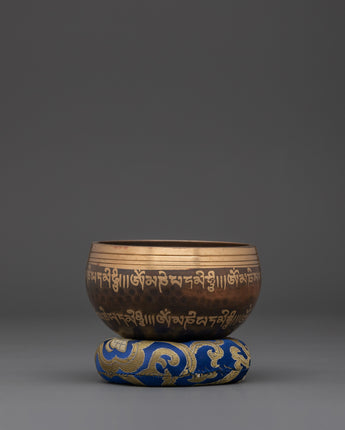 Energy Healing Singing Bowl 
