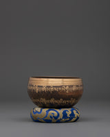 Energy Healing Singing Bowl 