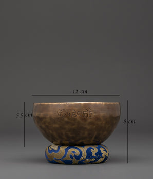 Tibetan Sound Healing Singing Bowl | Chakra Cleansing & Mindfulness