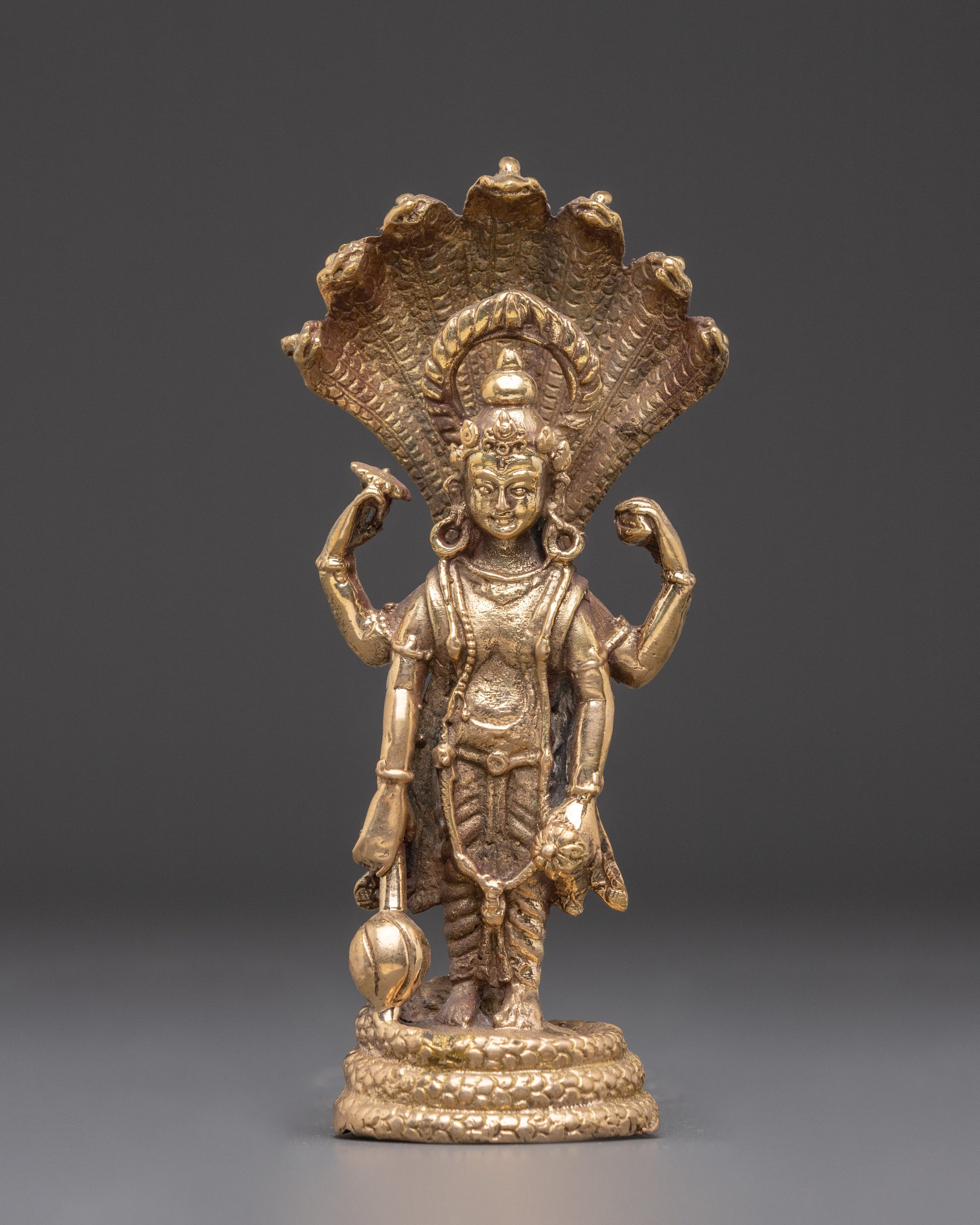 vishnu