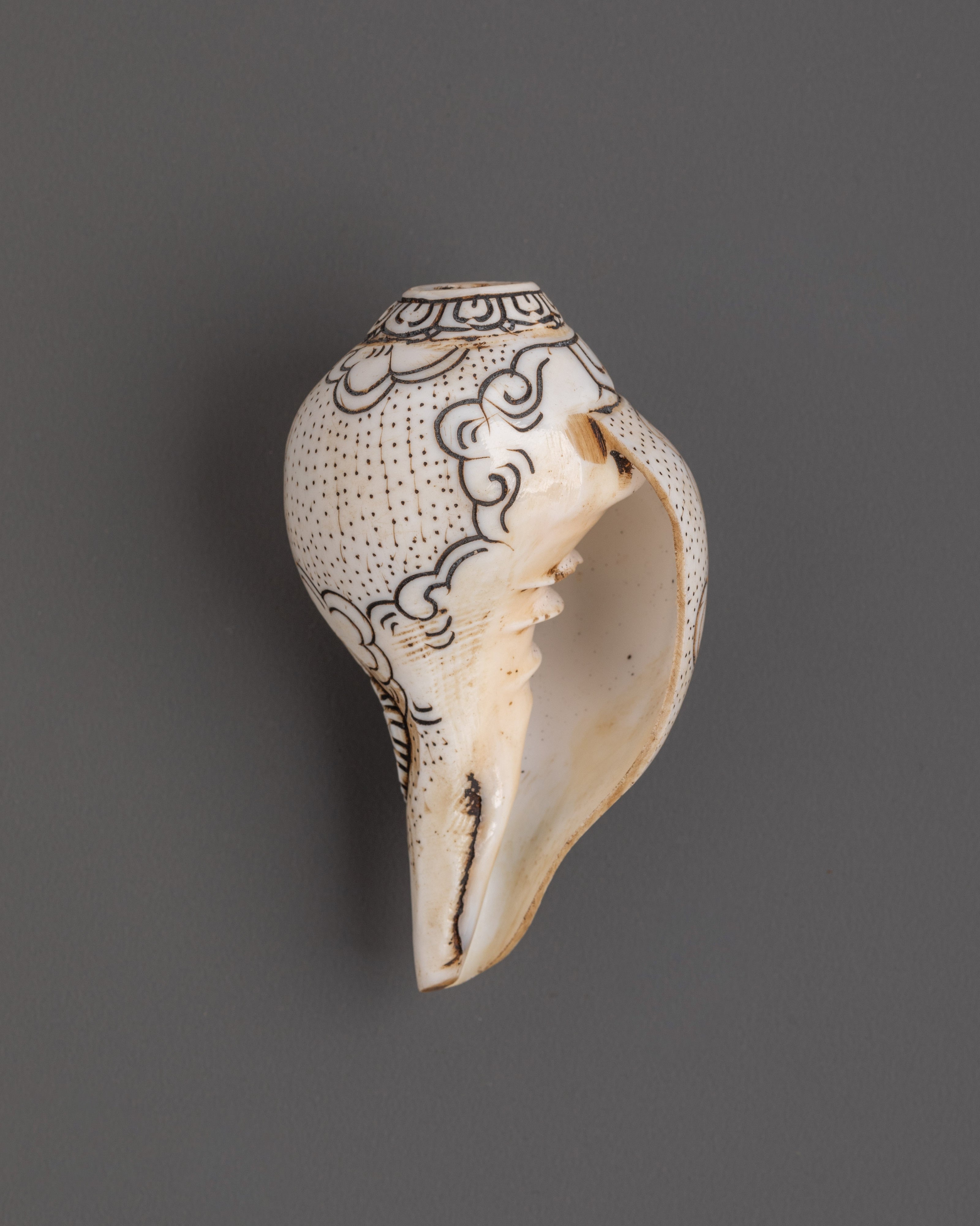 Dzambhala Conch – Sacred Buddhist Artifact