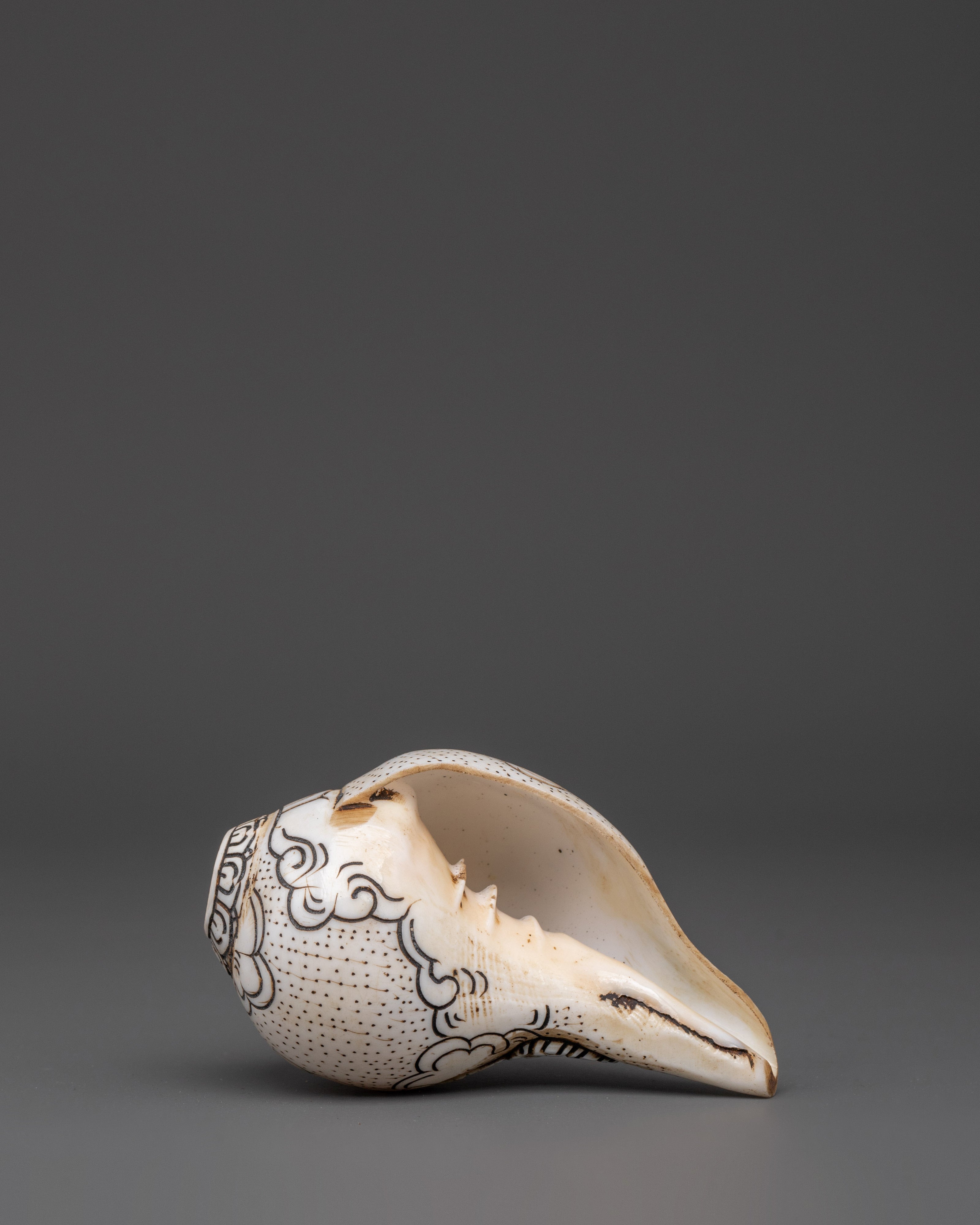 Dzambhala Conch – Sacred Buddhist Artifact
