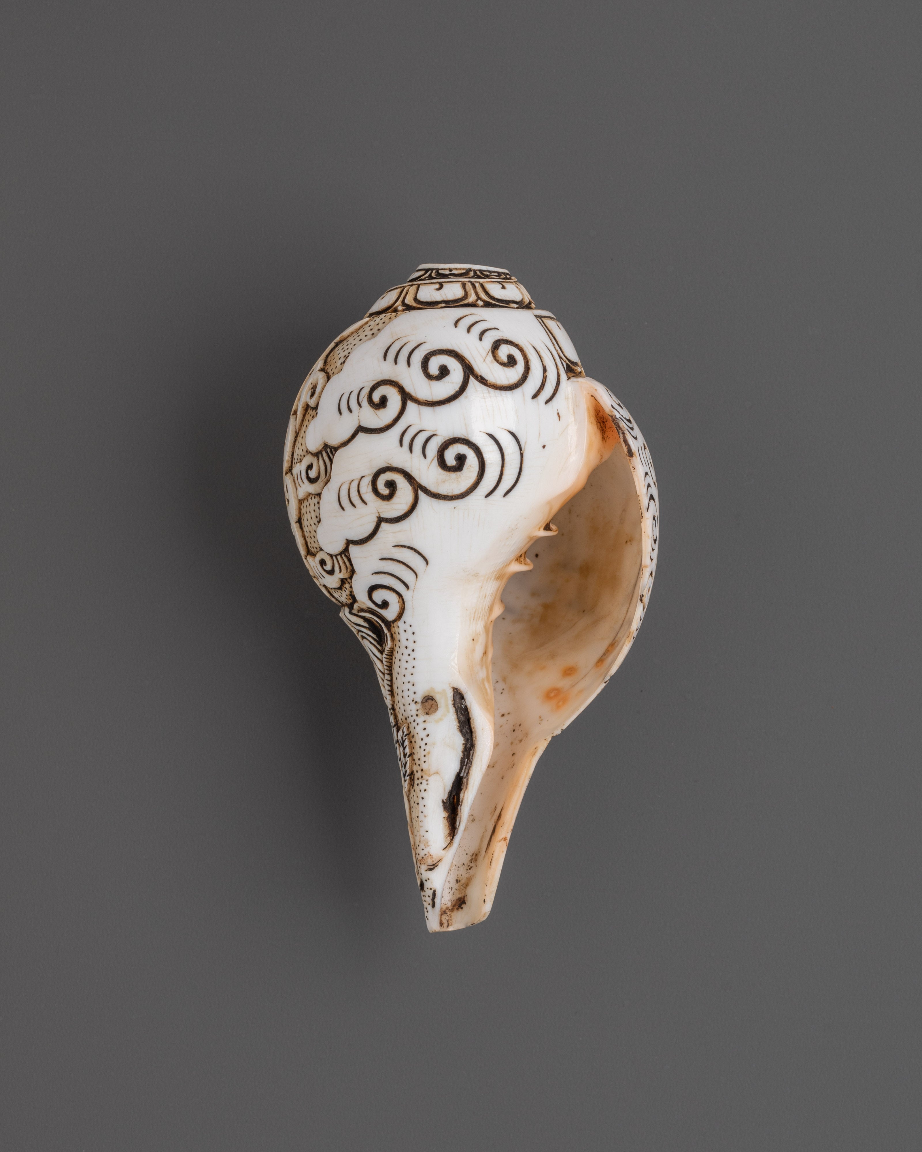 Green Tara Conch | Sacred Buddhist Artifact