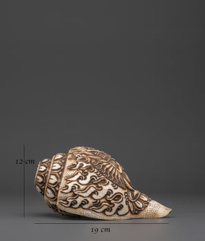 Healing Conch |  Meditation & Home Decoration