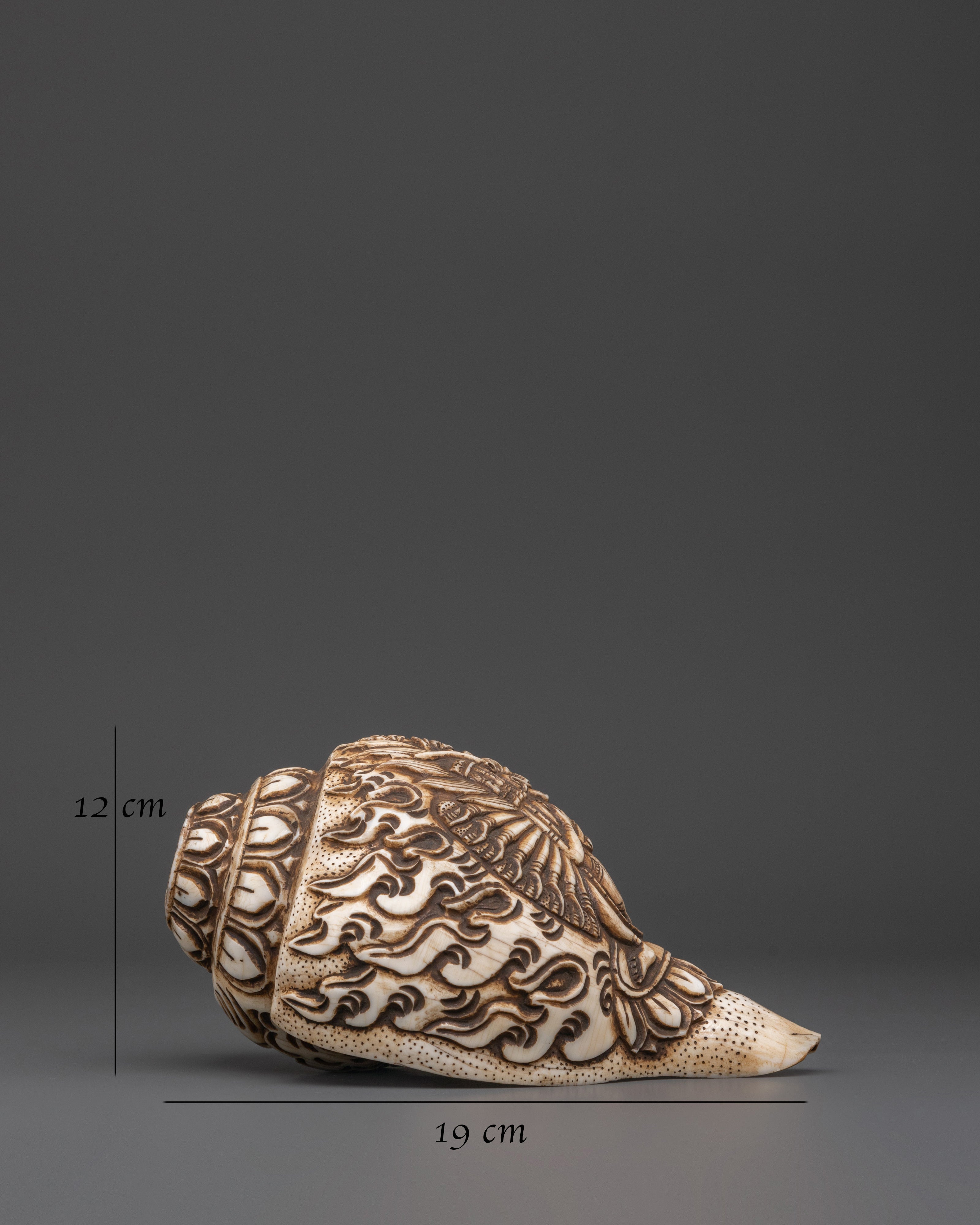 Healing Conch |  Meditation & Home Decoration