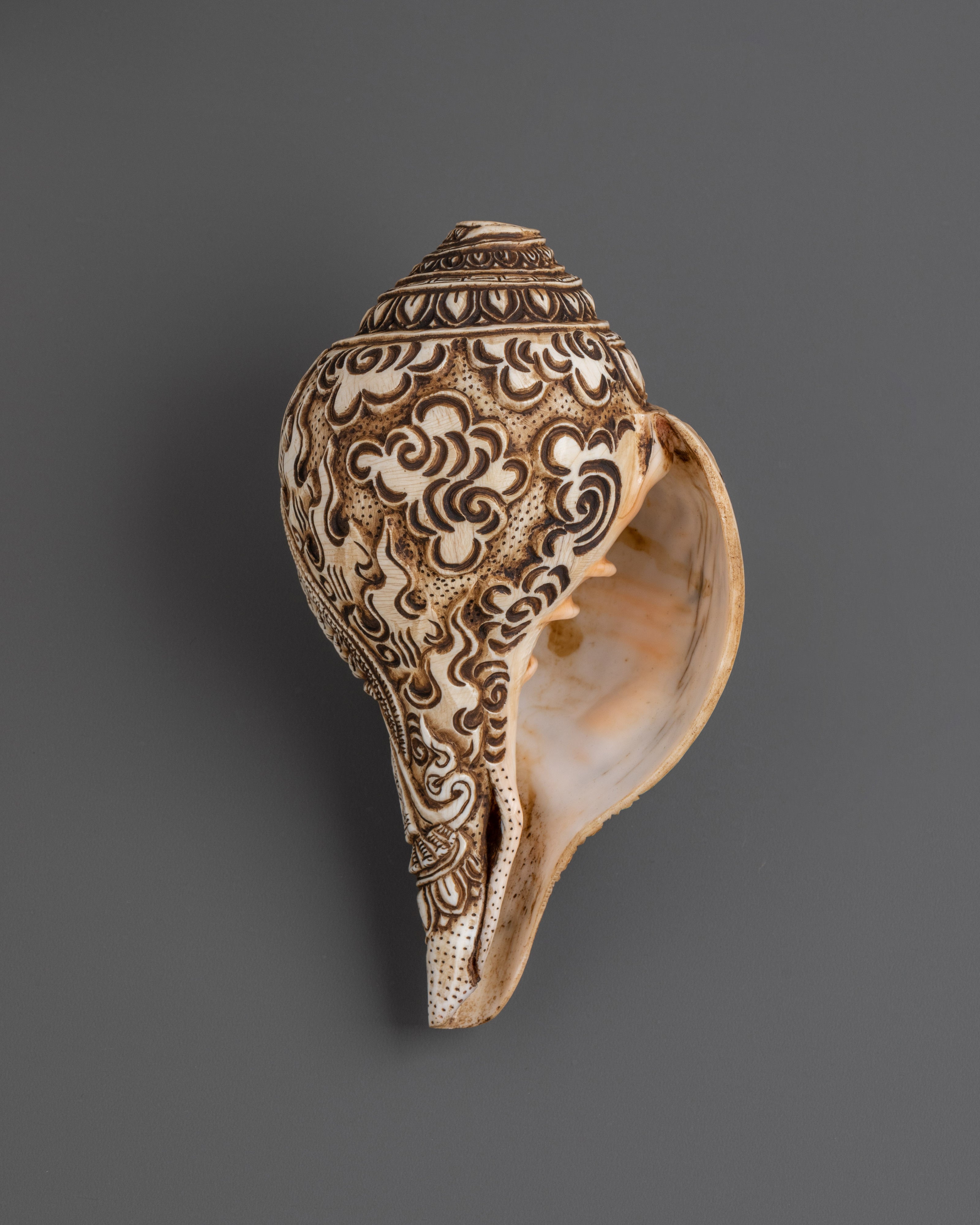 Conch Por Meditation | Meditation and Spiritual Practices