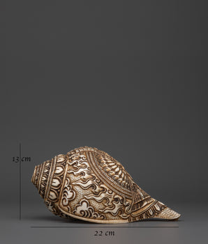 Conch Por Meditation | Meditation and Spiritual Practices
