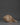 Conch Por Meditation | Meditation and Spiritual Practices
