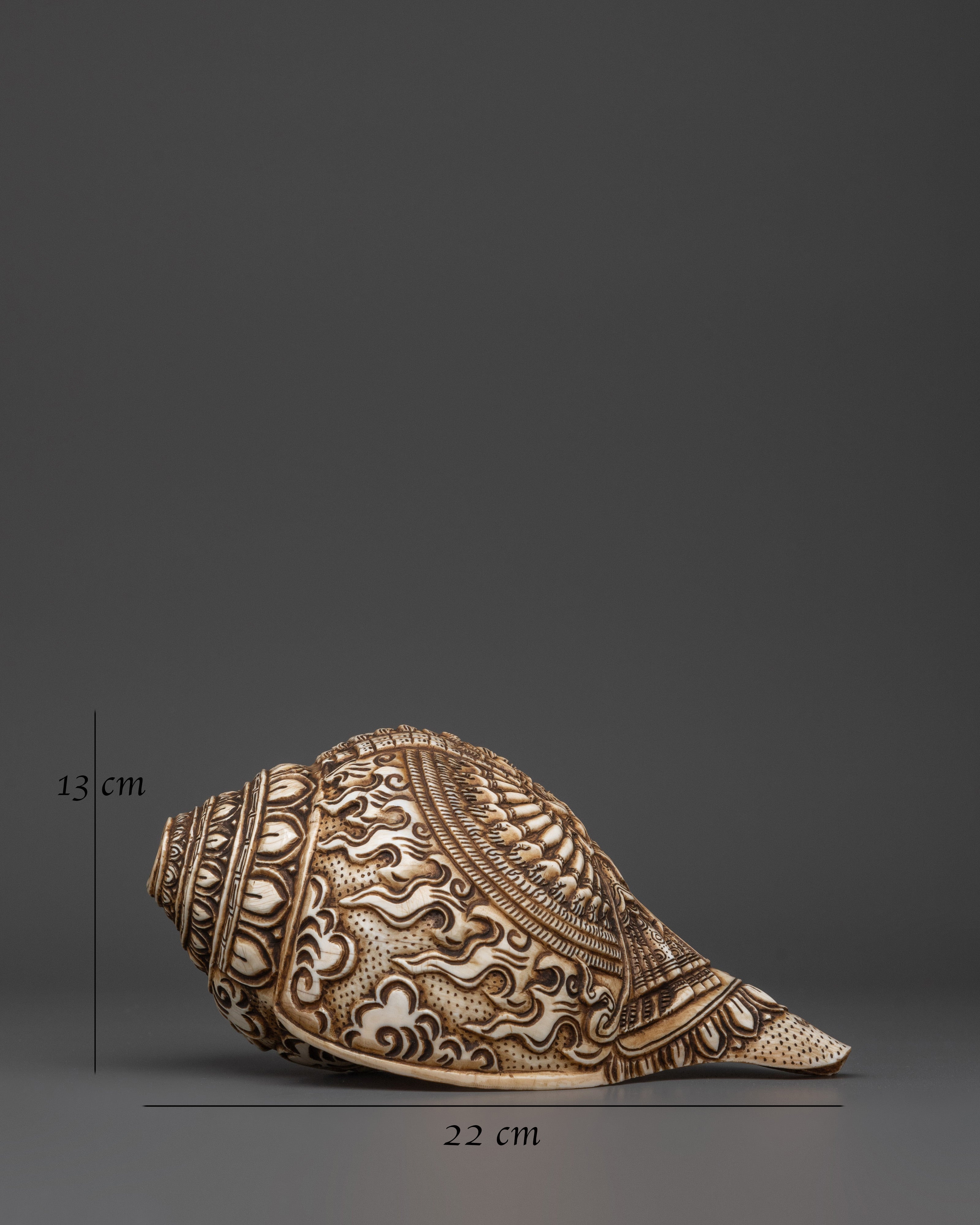 Conch Por Meditation | Meditation and Spiritual Practices