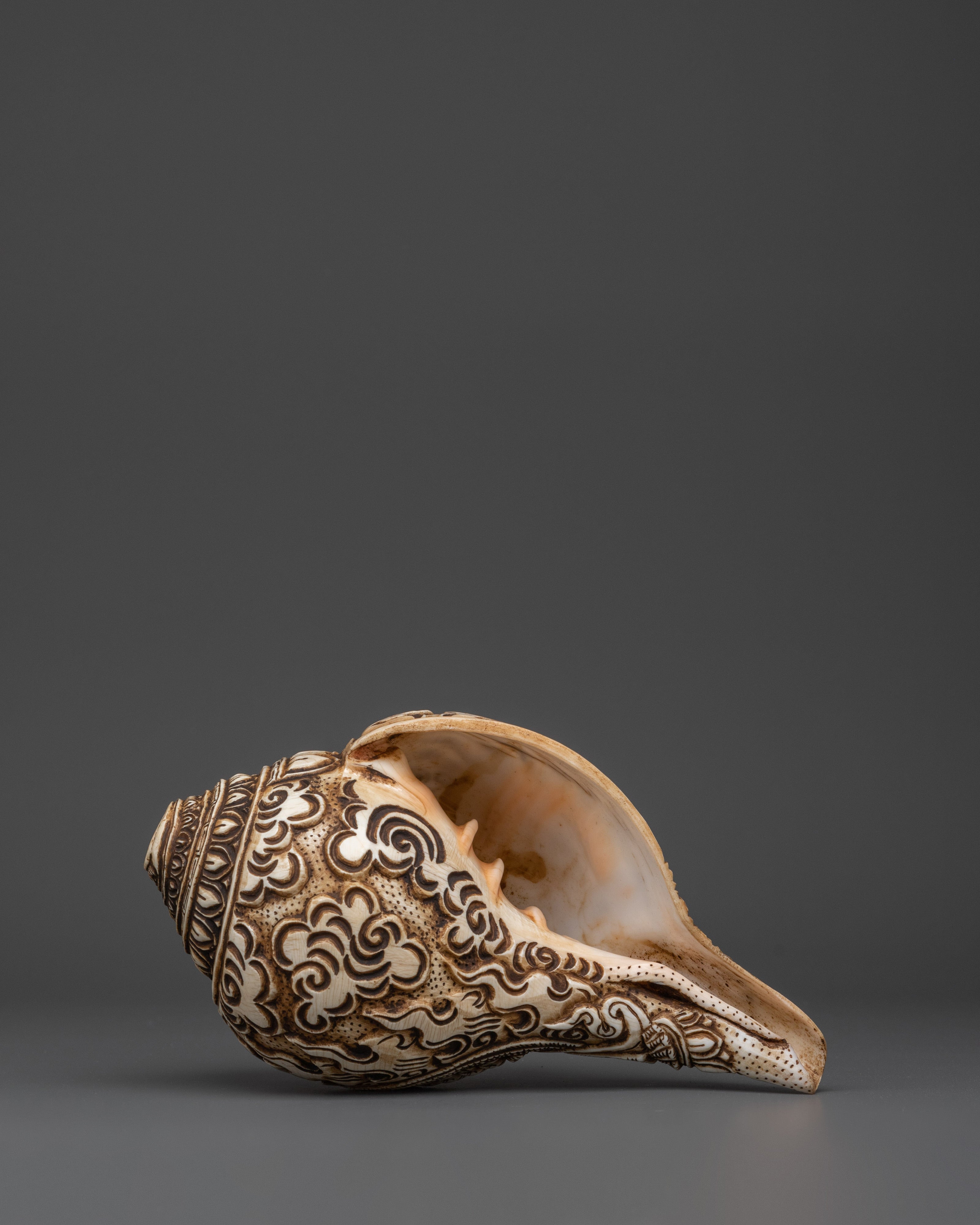 Conch Por Meditation | Meditation and Spiritual Practices