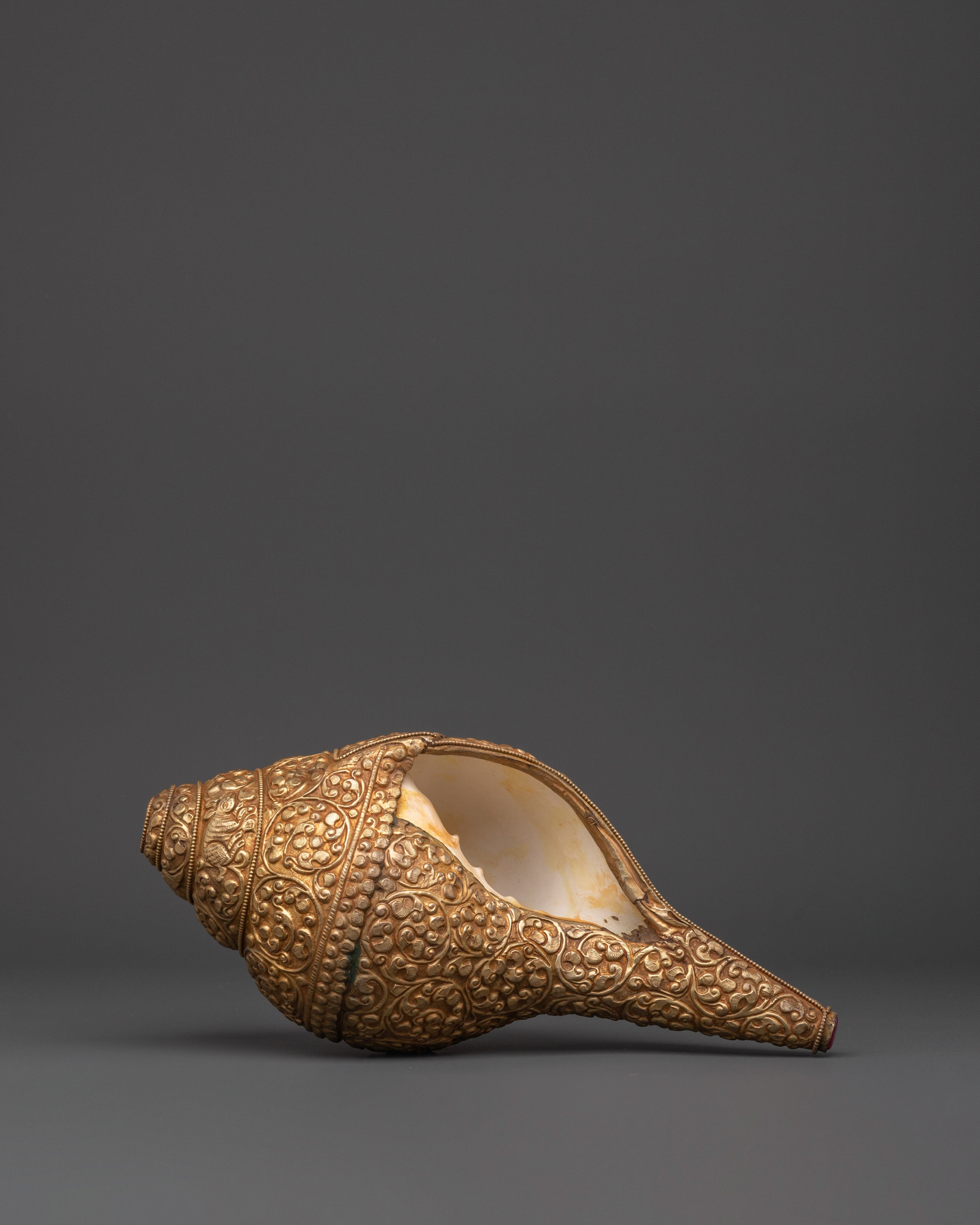 Tibetan Handcrafted Conch | Gold Plated Conch