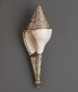Conch For Prosperity | Spiritual Tool