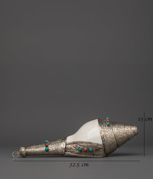 Conch For Prosperity | Spiritual Tool