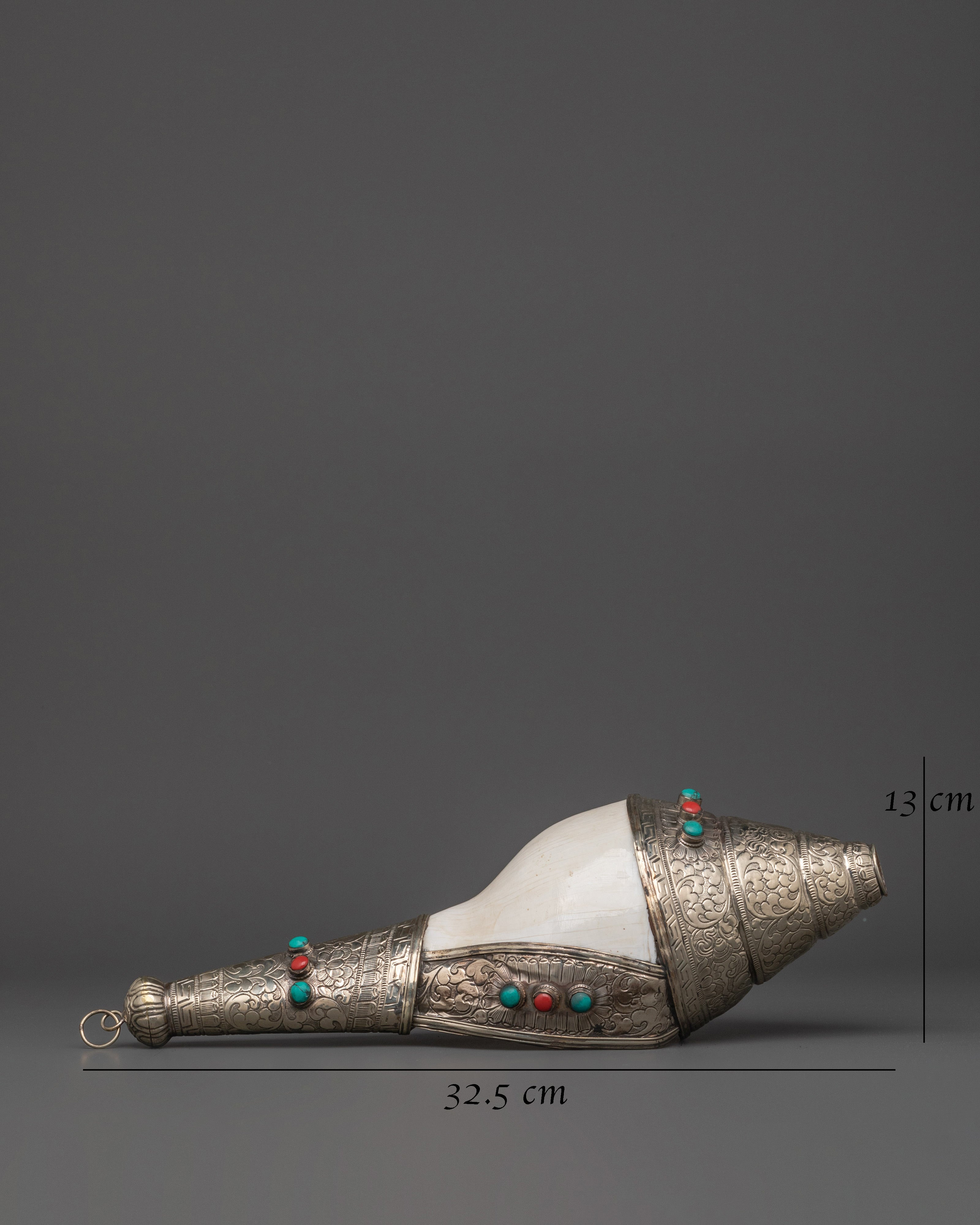 Conch For Prosperity | Spiritual Tool
