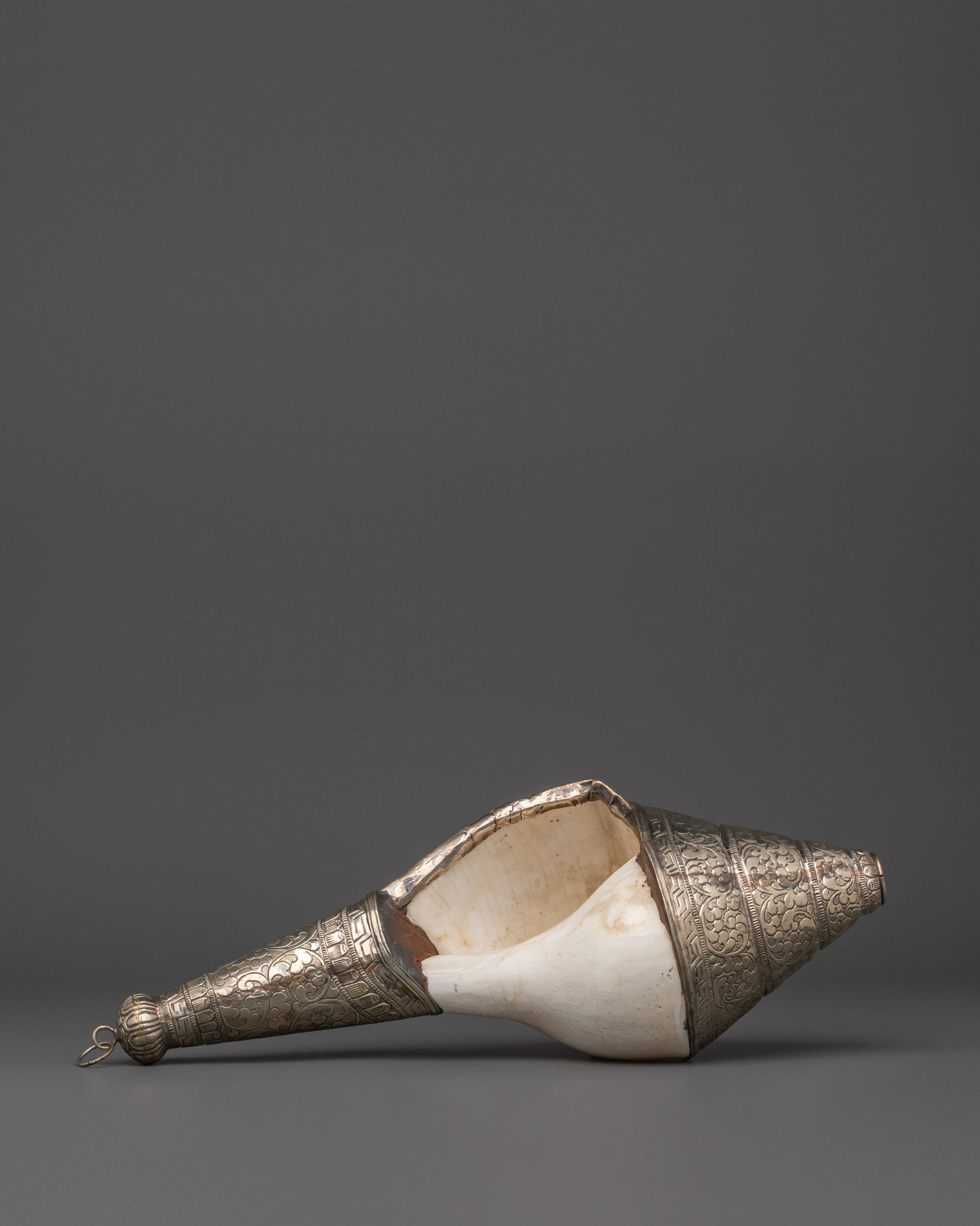 Conch For Prosperity | Spiritual Tool