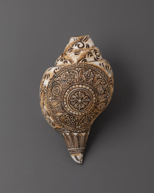 Handcrafted Tibetan Conch Shell | Symbol of Sacred Sound and Blessings