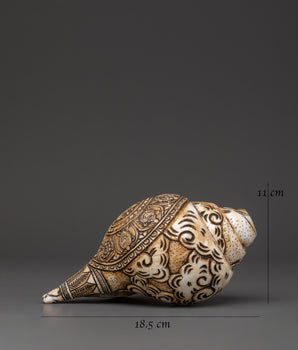 Handcrafted Tibetan Conch Shell | Symbol of Sacred Sound and Blessings