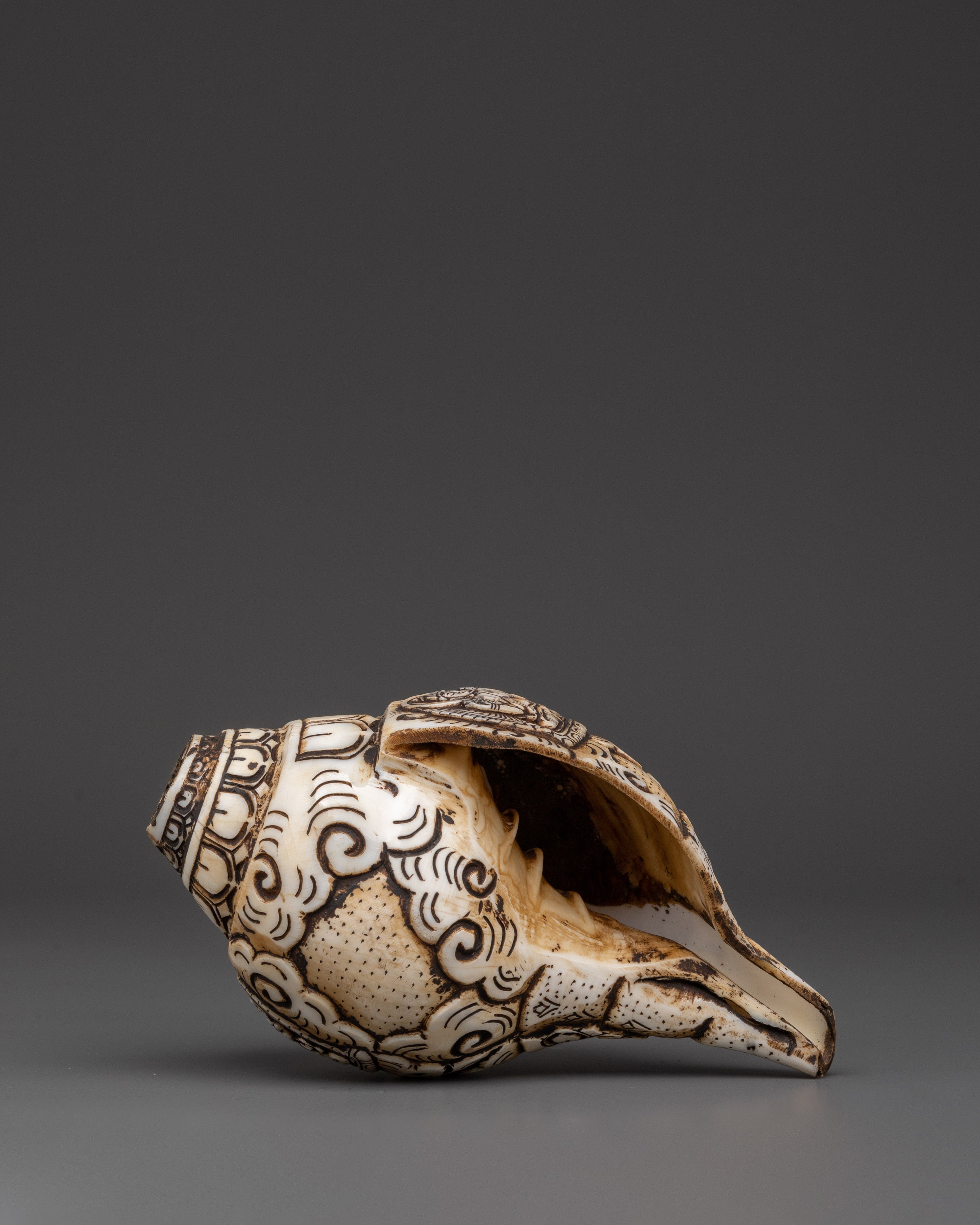 Conch with Guru Rinpoche Carving | Sacred Tibetan Ritual Sound Tool